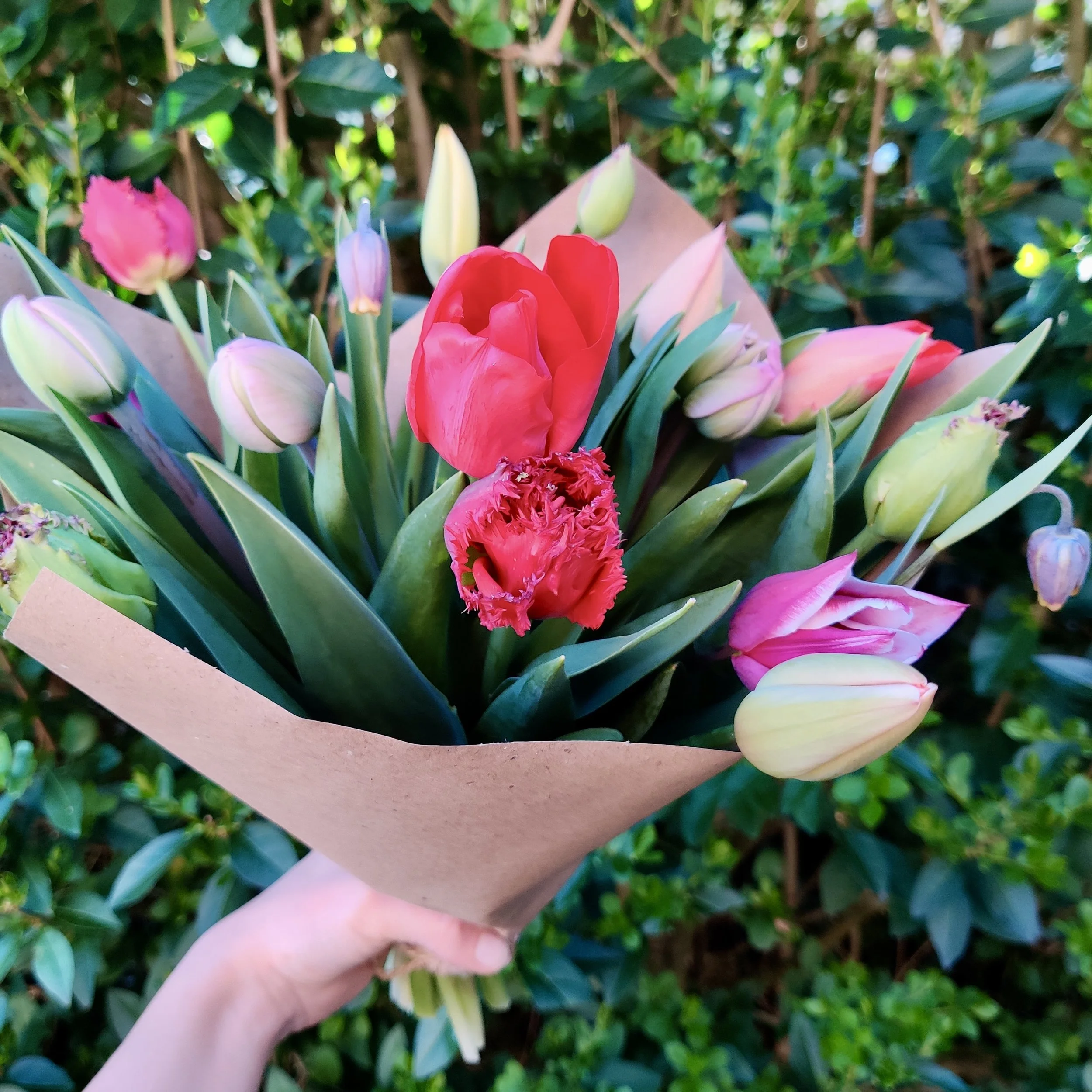 A colorful bouquet of various flowers, including pink, red, purple, and white blooms, wrapped in pink paper and held by a person's hand outdoors with green foliage in the background.