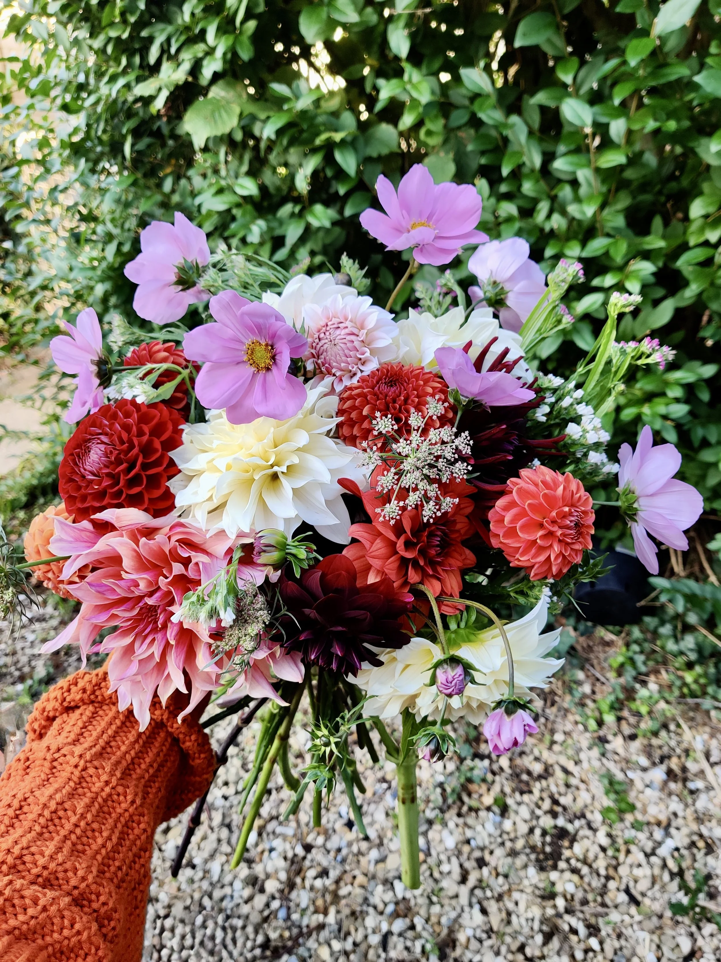 A person in an orange knitted cardigan holding a colorful bouquet of flowers with pink, white, red, and purple blossoms, with a background of green leaves and gravel ground.