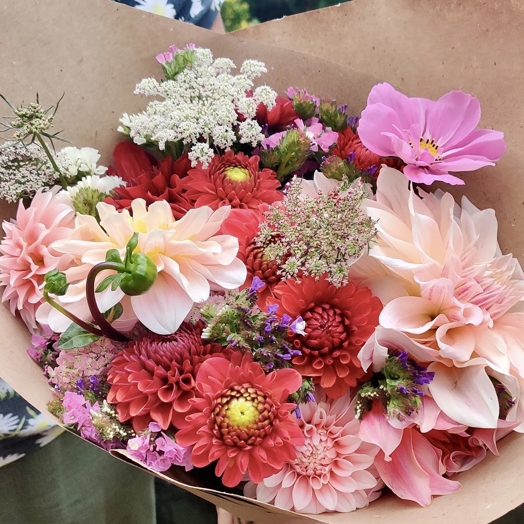 Airy wild carrot brings movement and texture to this colourful hand-tie, where cafe au lait dahlia steals the show in this classic summer bouquet