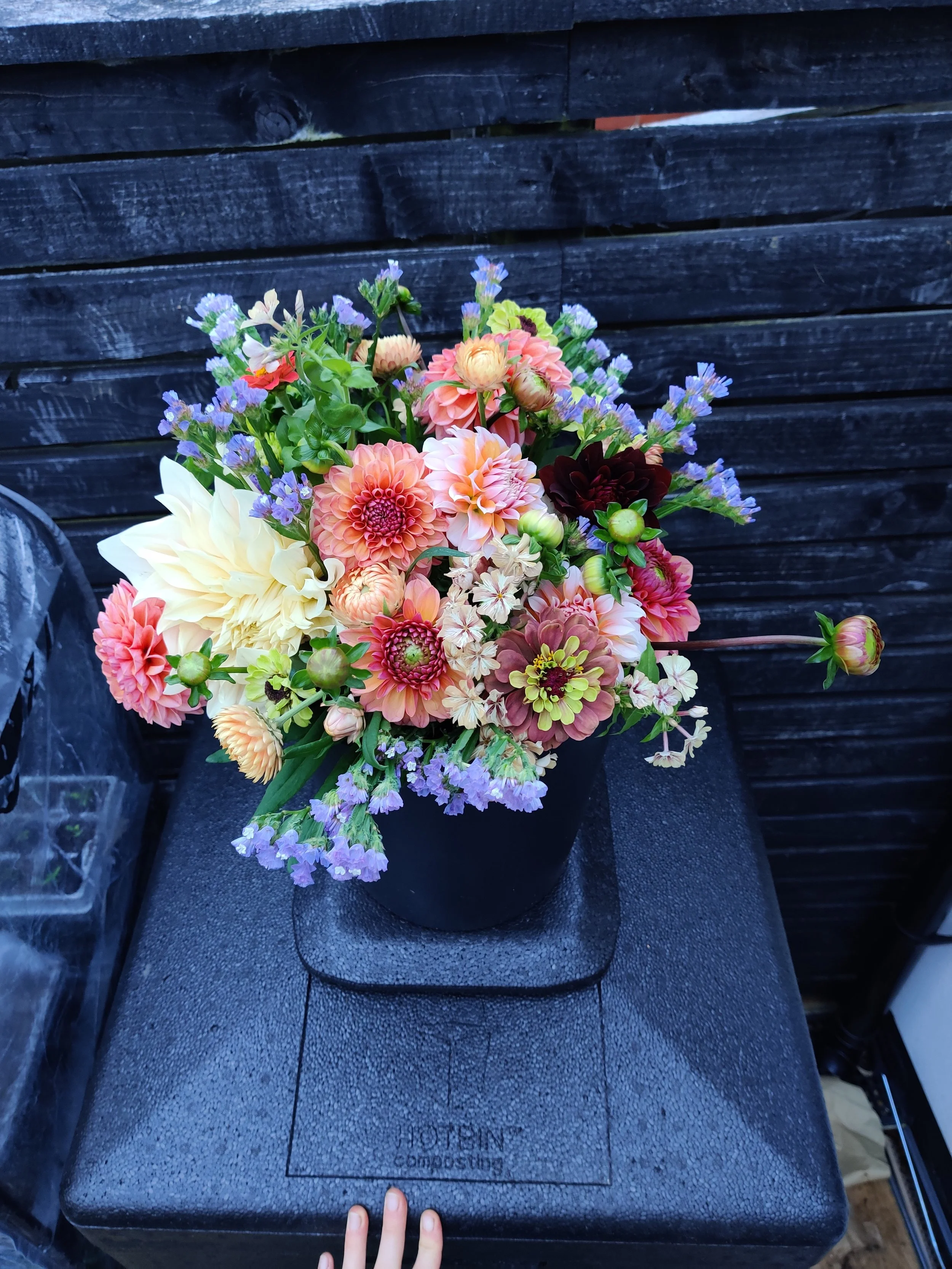 A colourful bouquet of mixed flowers including dahlias, zinnias, statice and phlox, arranged against a dark wooden background.