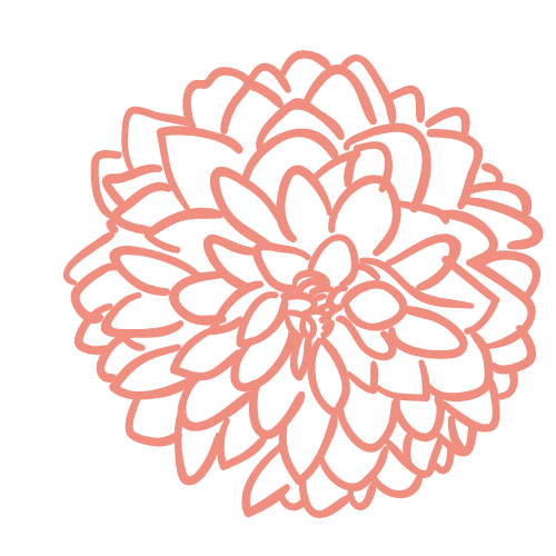 A soft-pink line drawing of a large dahlia flower with multiple petals in a sketch style.