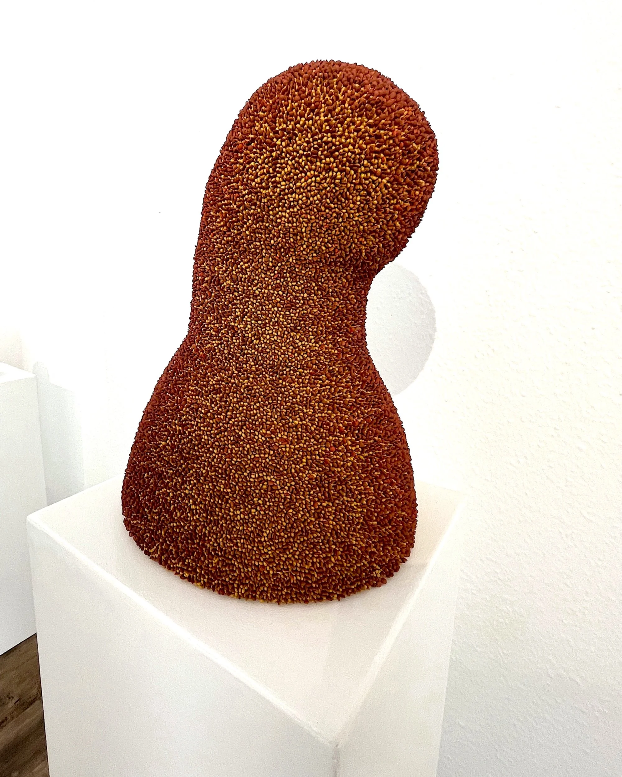 phrygian cap, wire, papier-mâché, paint, capacitors, 44x30x30 cm, 2025
