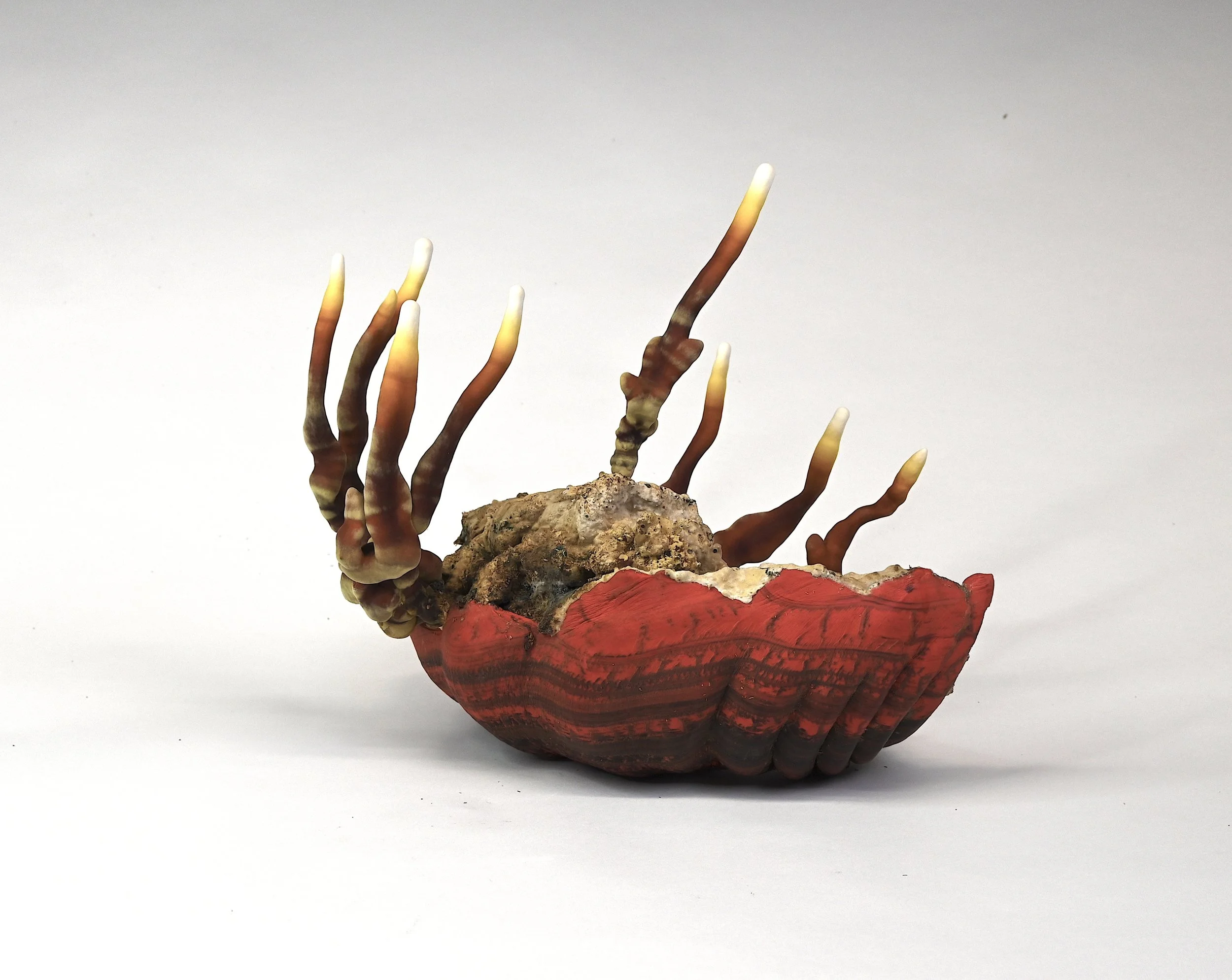 overgrowing, resin, pigments, saw dust, reishi mushroom, 30x34x25 cm, 2023 
