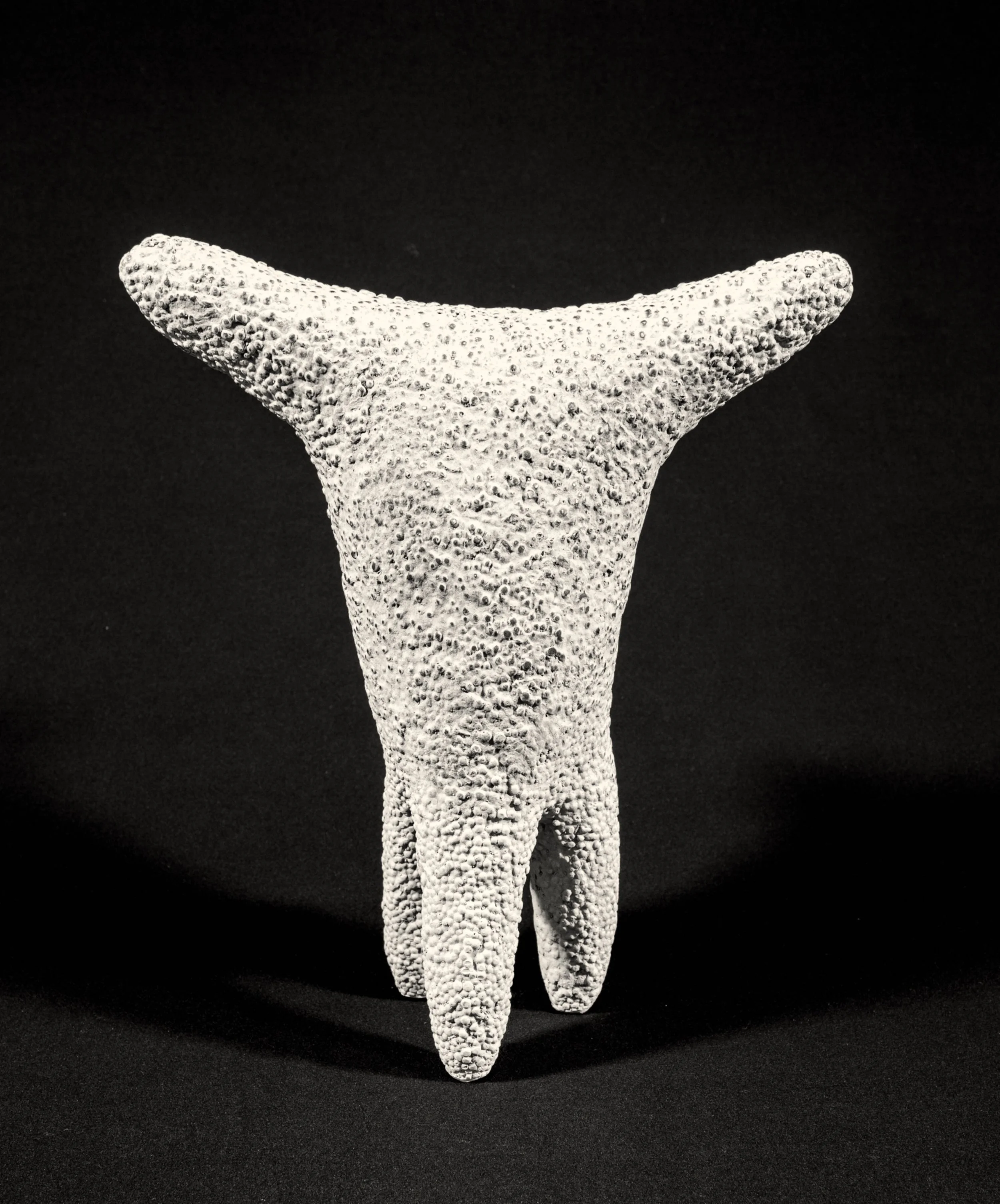 taurus (edition strassacker), bronze, 29x25x25 cm, 2025, foto: H. Nowack 