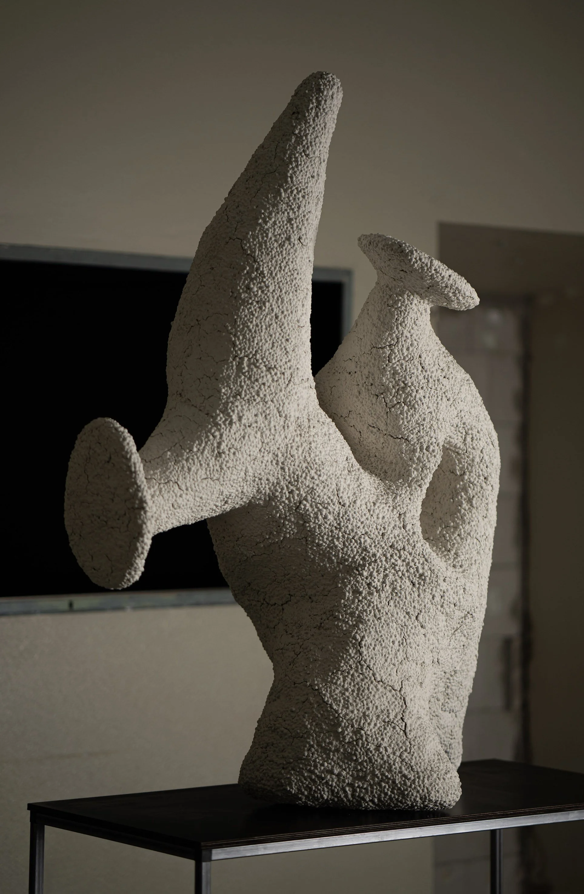 infection I, wire, papier-mâché, paint,
expanded clay pellets, 120x76x73 cm, 2021