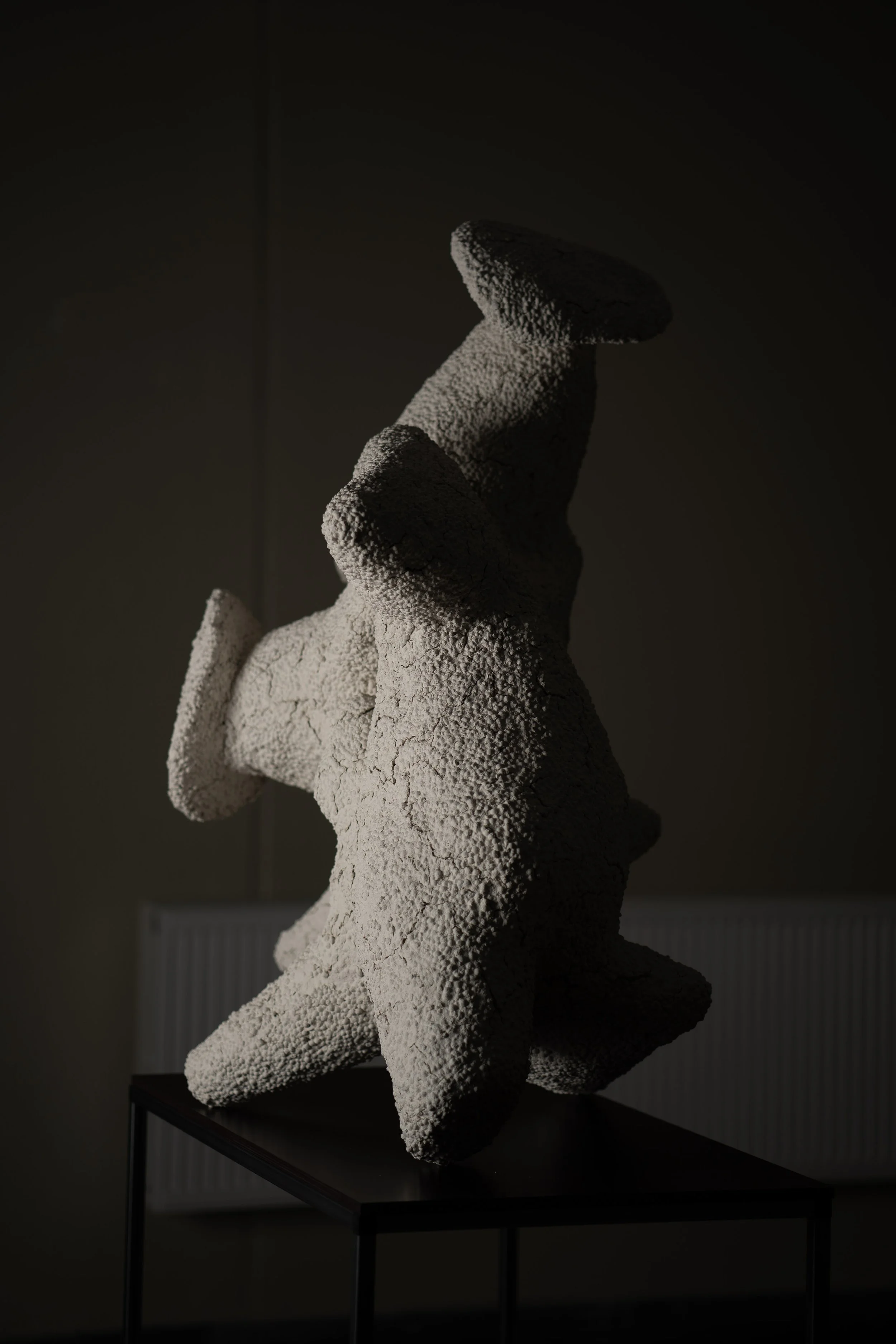 Infection III, wire, papier-mâché, paint,
expanded clay pellets, 122x75x70 cm 2021    