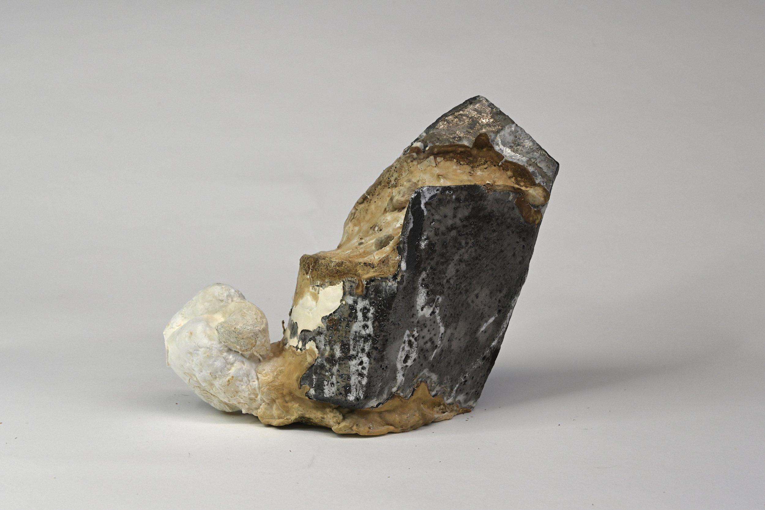 raku reishi I, ceramic raku fired, saw dust, reishi mushroom, 20x18x12 cm, 2023 