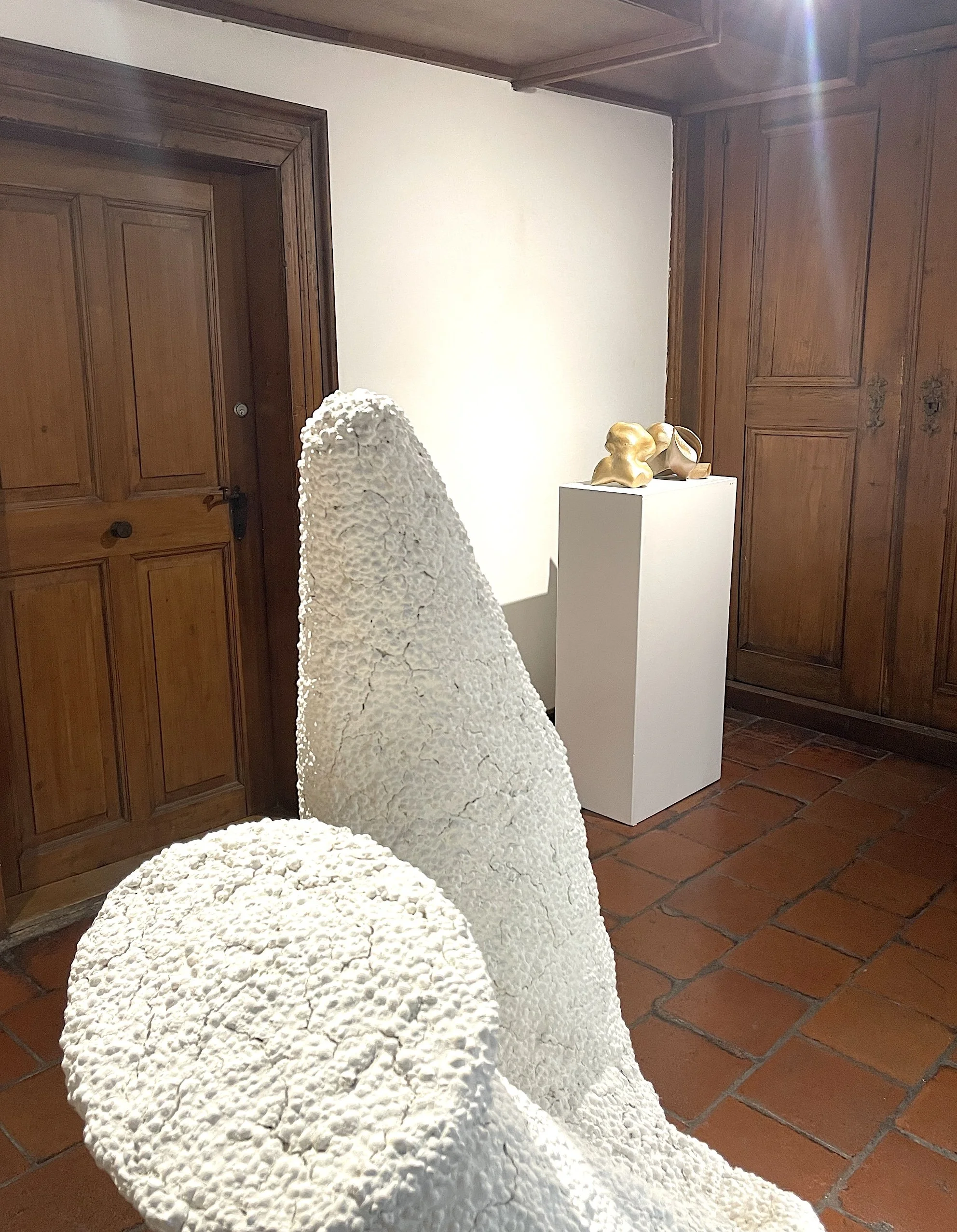 touch me! with Alfred Müller, pro arte Ulmer Kunststiftung, 2025