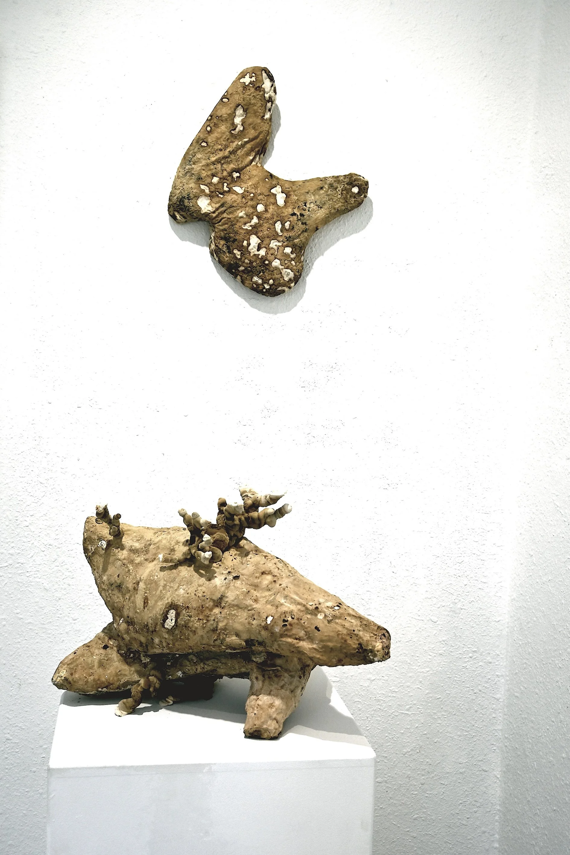 nature-human-connection, Frankfurter Kunstverein (Oder), 2023