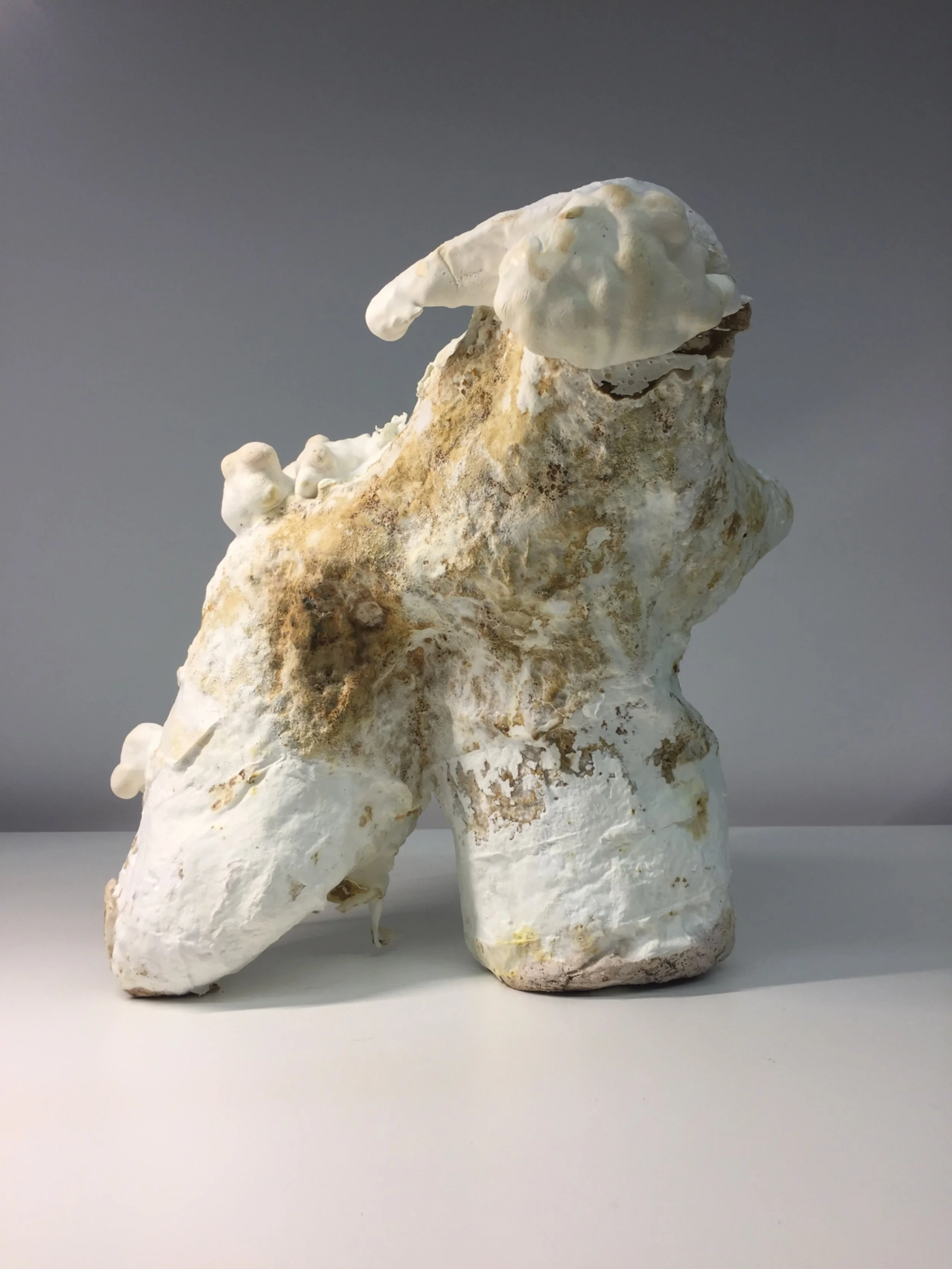 mycelium I, plaster, saw dust, reishi mushroom, 30x29x22 cm, 2021
