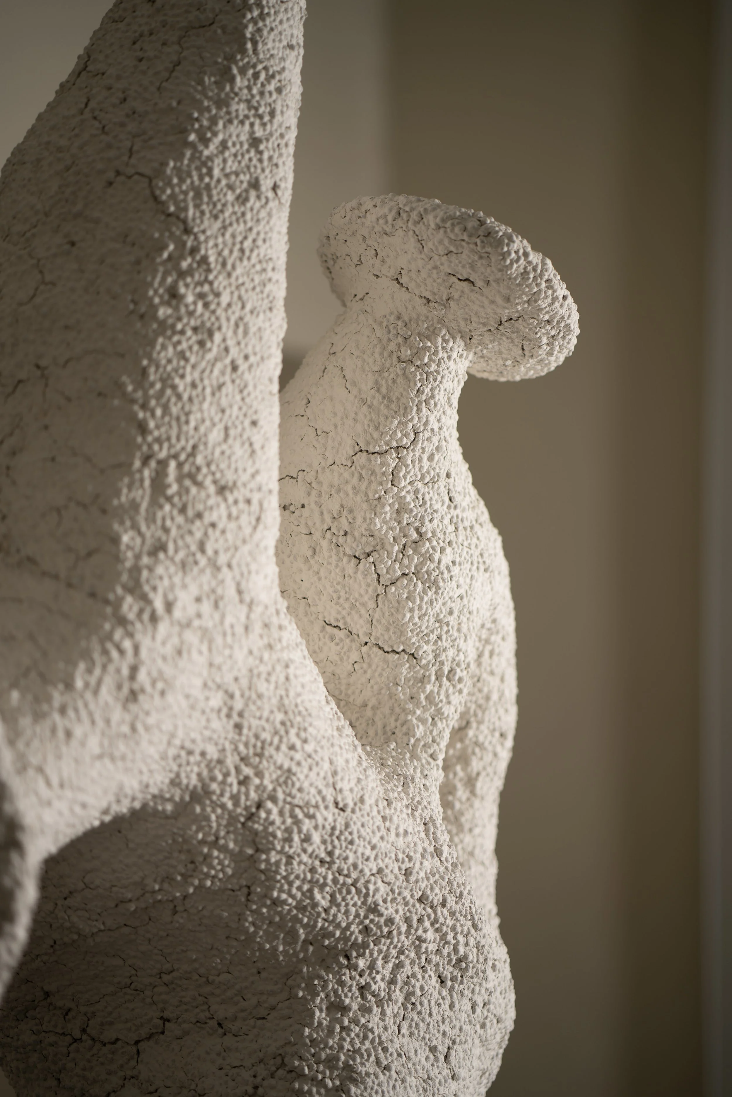 detail infection I