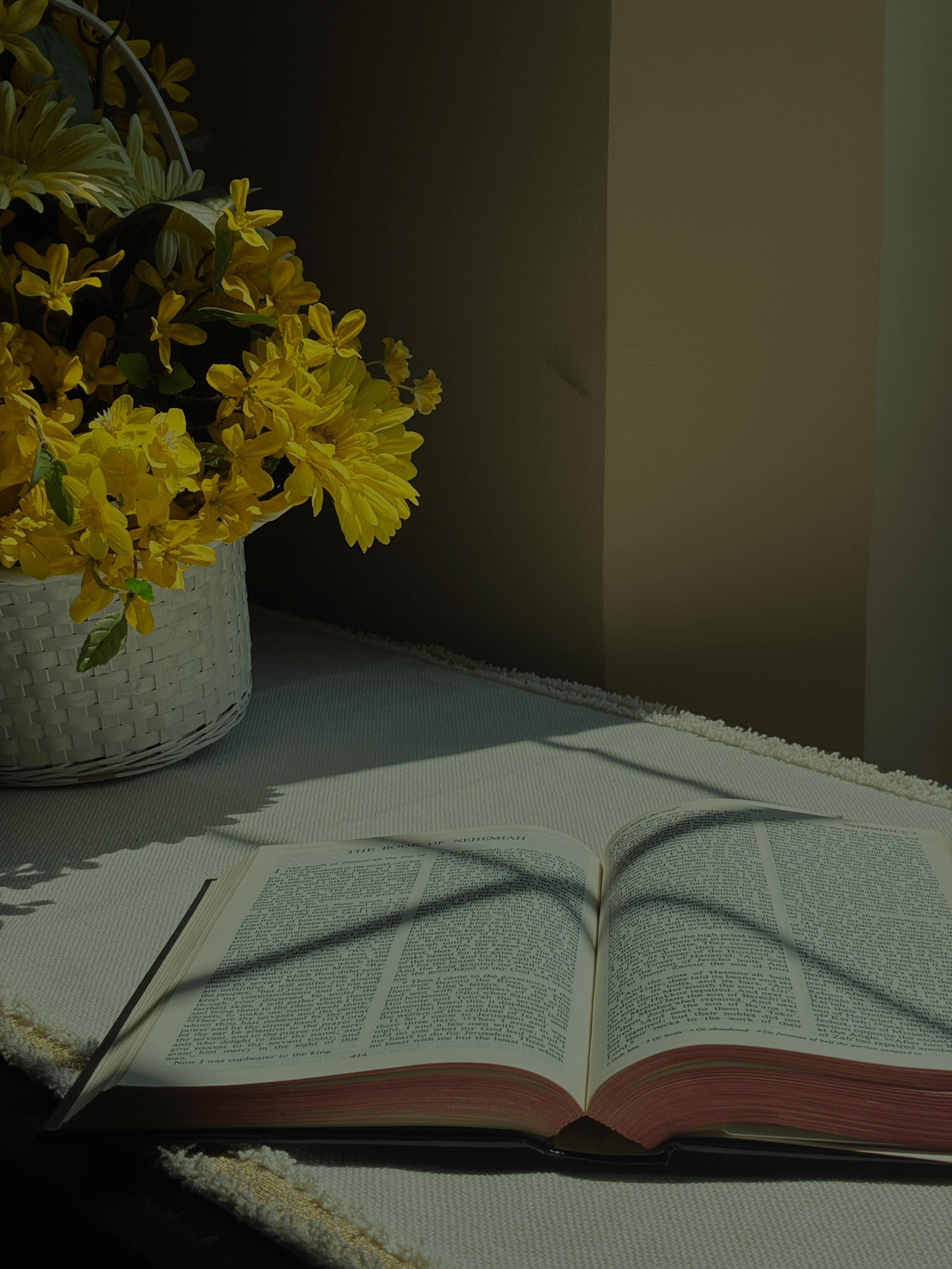 An open book on a white surface, with sunlight casting a shadow of the text. Off to the side, a white basket filled with yellow flowers.