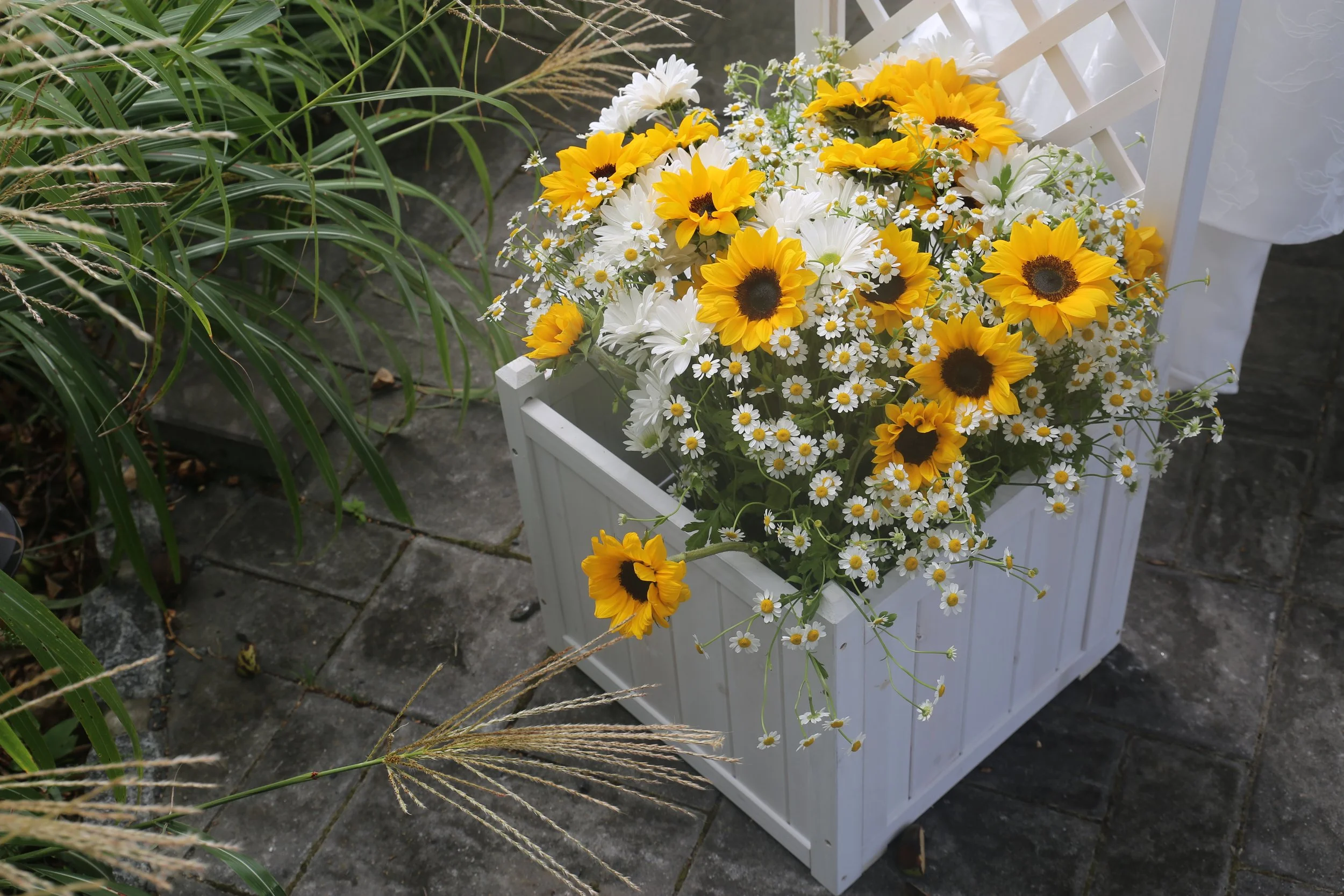 sunflowers in a white box.JPG