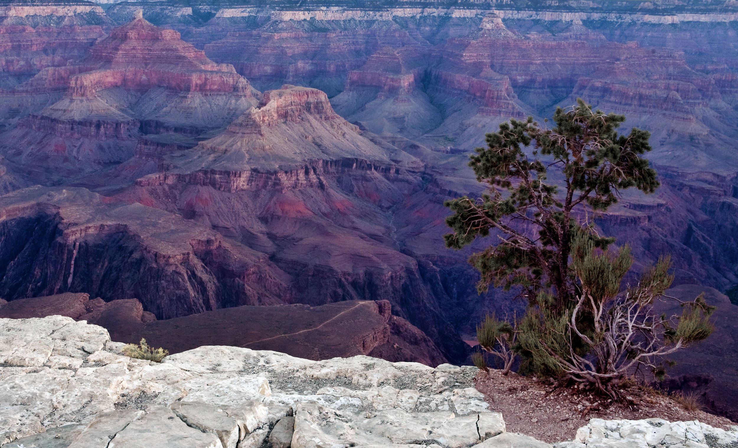 Grand CanyonDawn_b.jpg