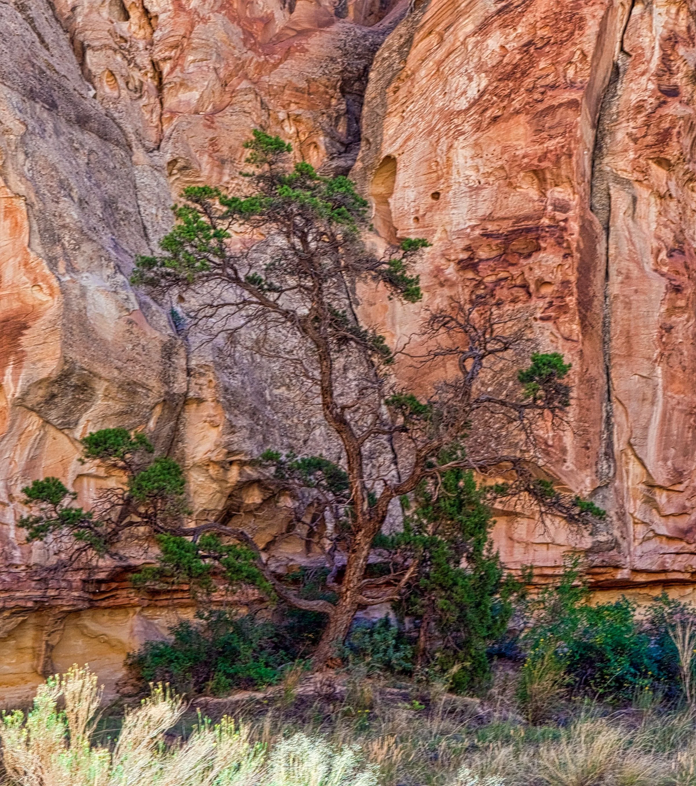 2010 09 19_canyons trip_1150a.jpeg
