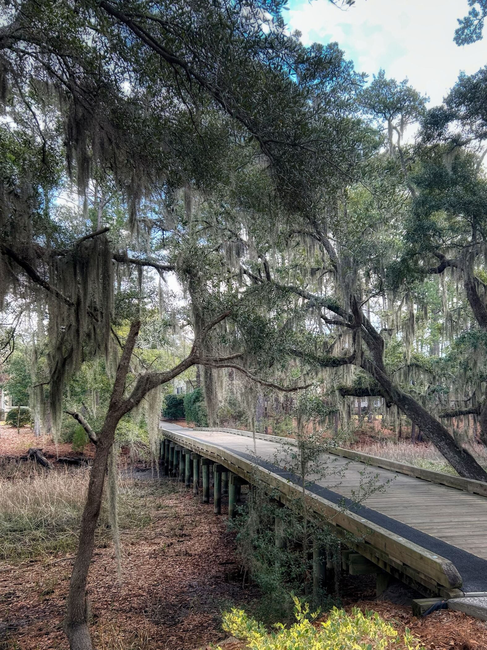 IMG_1710_hdr.jpg