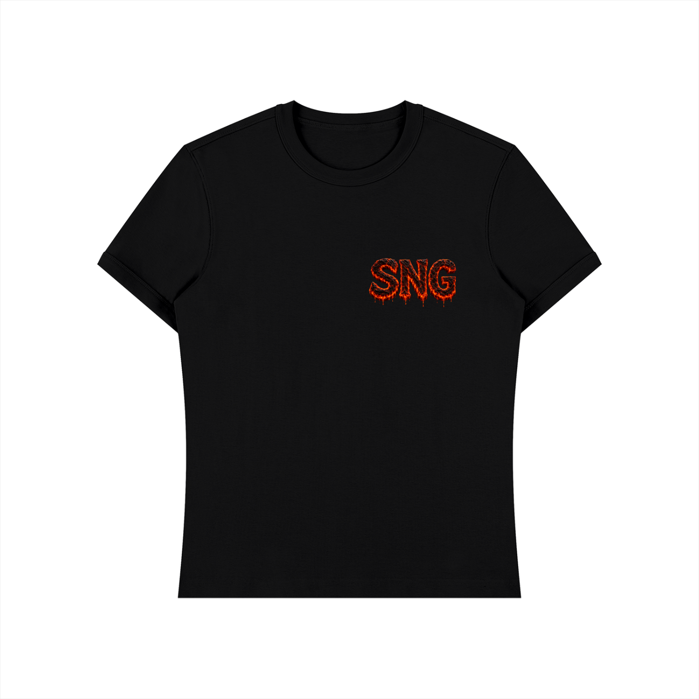 Unisex Heavyweight Slim Fit Sng T-Shirt