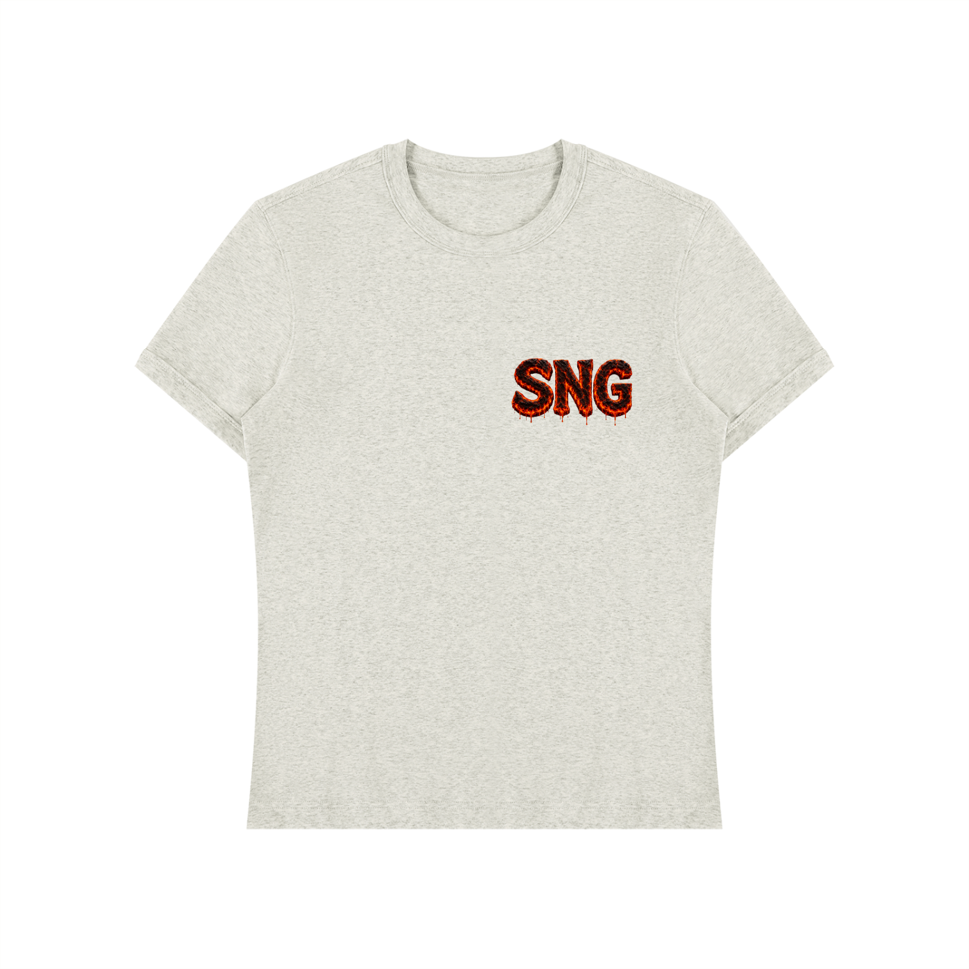 Unisex Heavyweight Slim Fit Sng T-Shirt