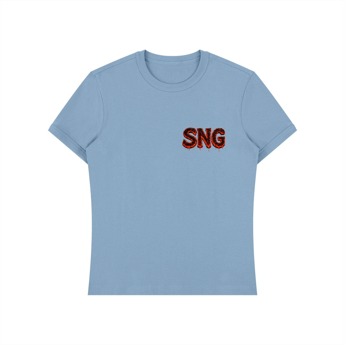 Unisex Heavyweight Slim Fit Sng T-Shirt