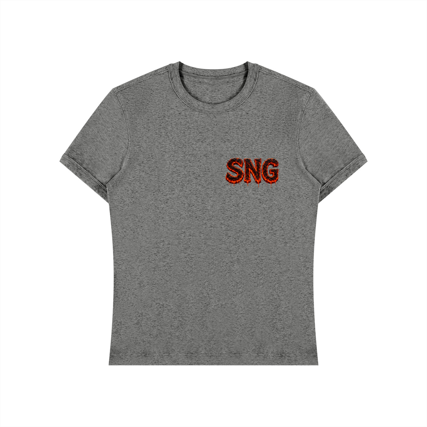 Unisex Heavyweight Slim Fit Sng T-Shirt