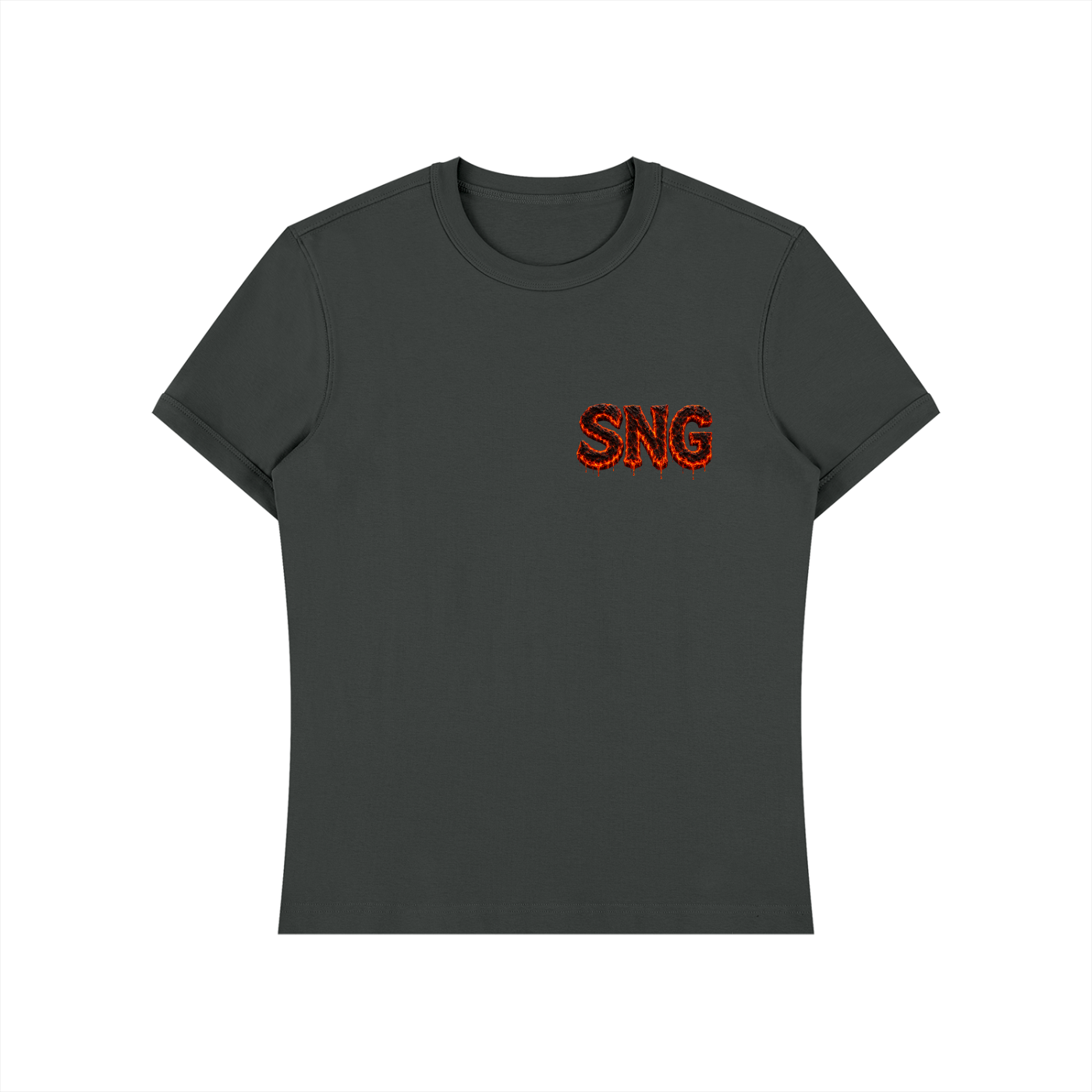 Unisex Heavyweight Slim Fit Sng T-Shirt