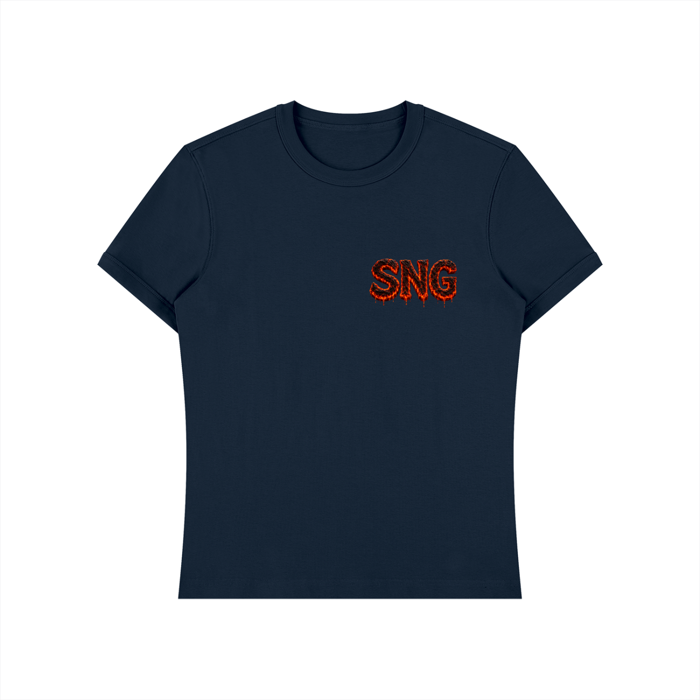 Unisex Heavyweight Slim Fit Sng T-Shirt