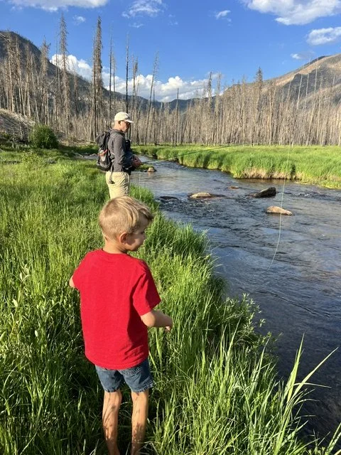 A man and a boy fishing by a river in a mountainous area with tall trees, green grass, and blue sky.