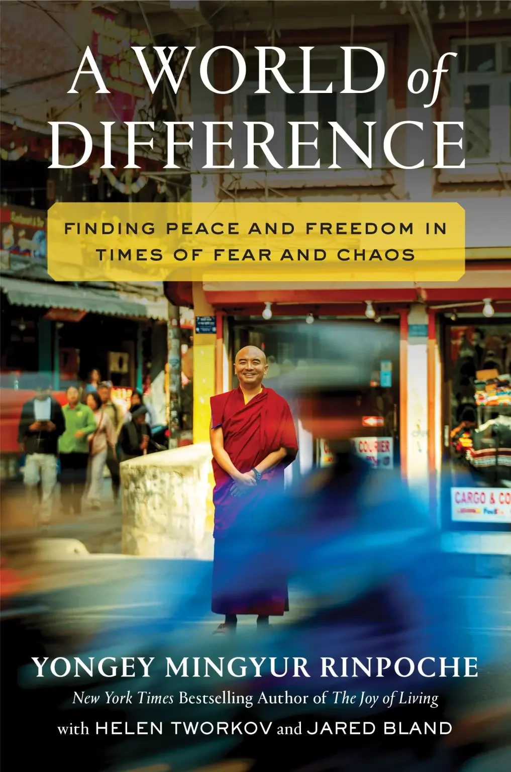 The cover of the book titled 'A World of Difference' shows a smiling monk in red robes standing in a busy urban street with blurred motion of passing people and vehicles in the foreground. The background features storefronts and pedestrians.