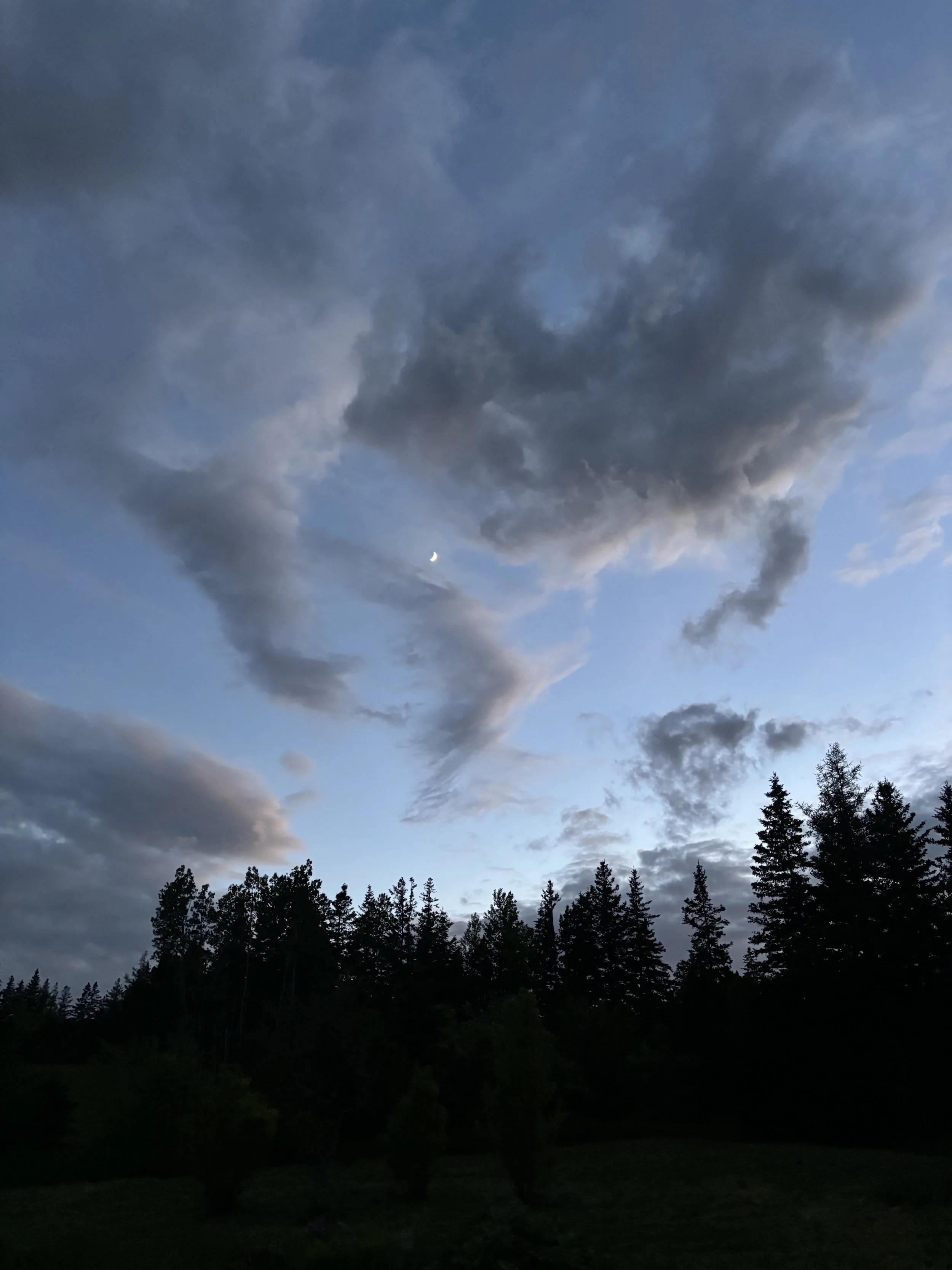 A scenic view of a darkening sky with dense, dark clouds and a faint crescent moon, silhouetted pine trees at the bottom.