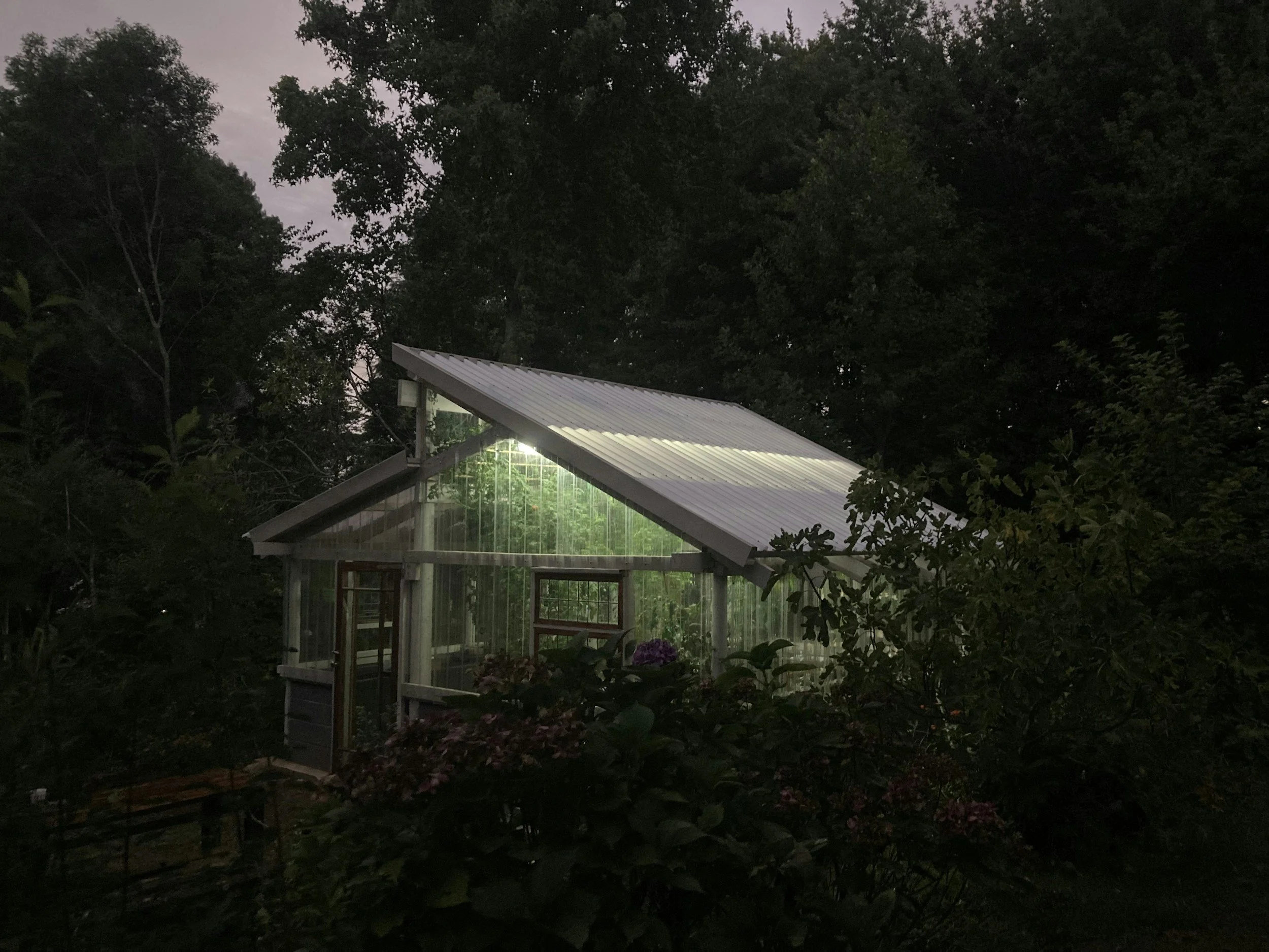 A greenhouse with illuminated interior light surrounded by trees and plants at dusk.