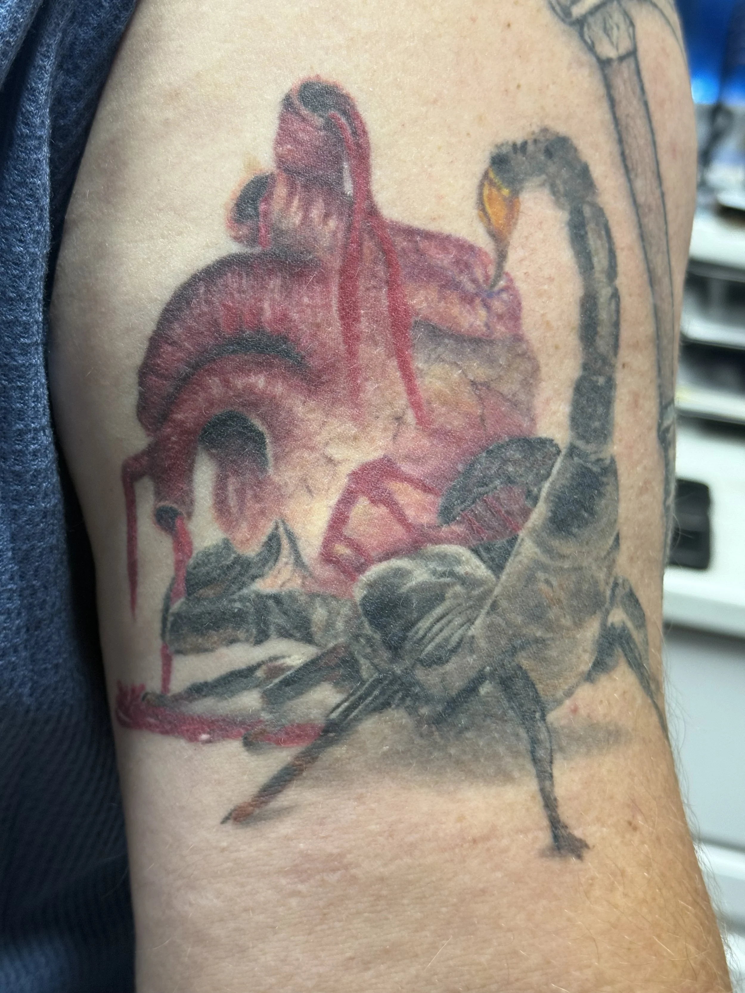 IMG_0608.jpeg