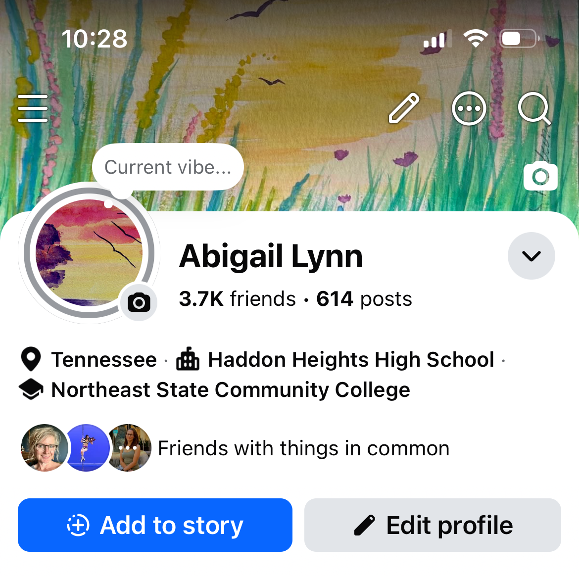 The Artist Facebook header for Abigail Lynn