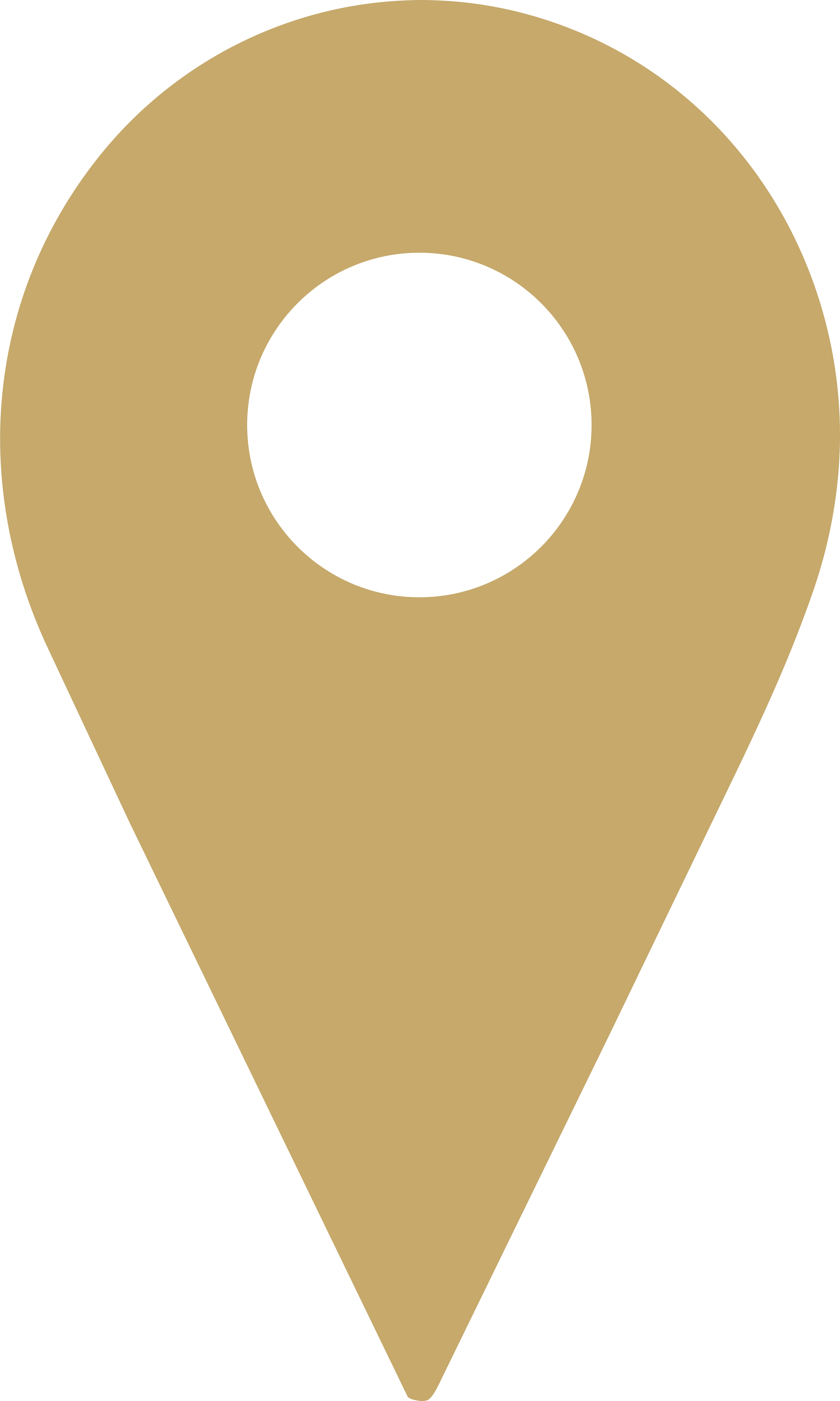 Gold and black location pin icon