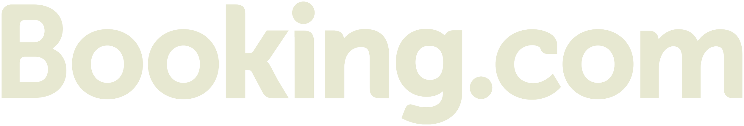 A webpage header with the text 'Booking.com' in large, light-colored font.