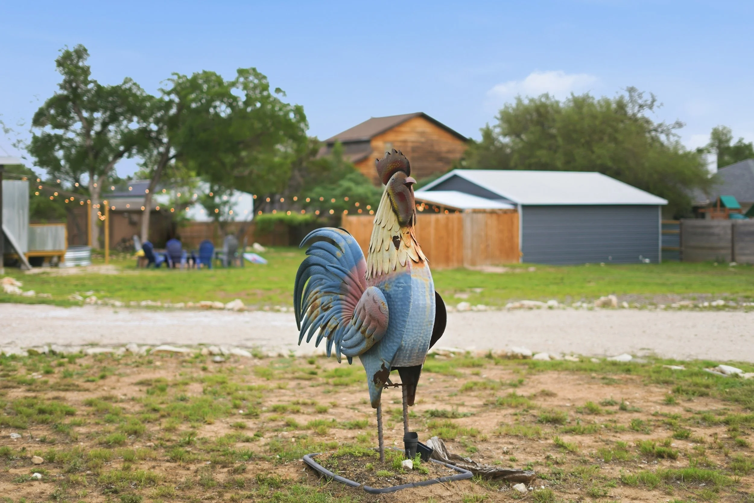 Colorful metal rooster sculpture in a backyard with trees, string lights, and houses in the background.