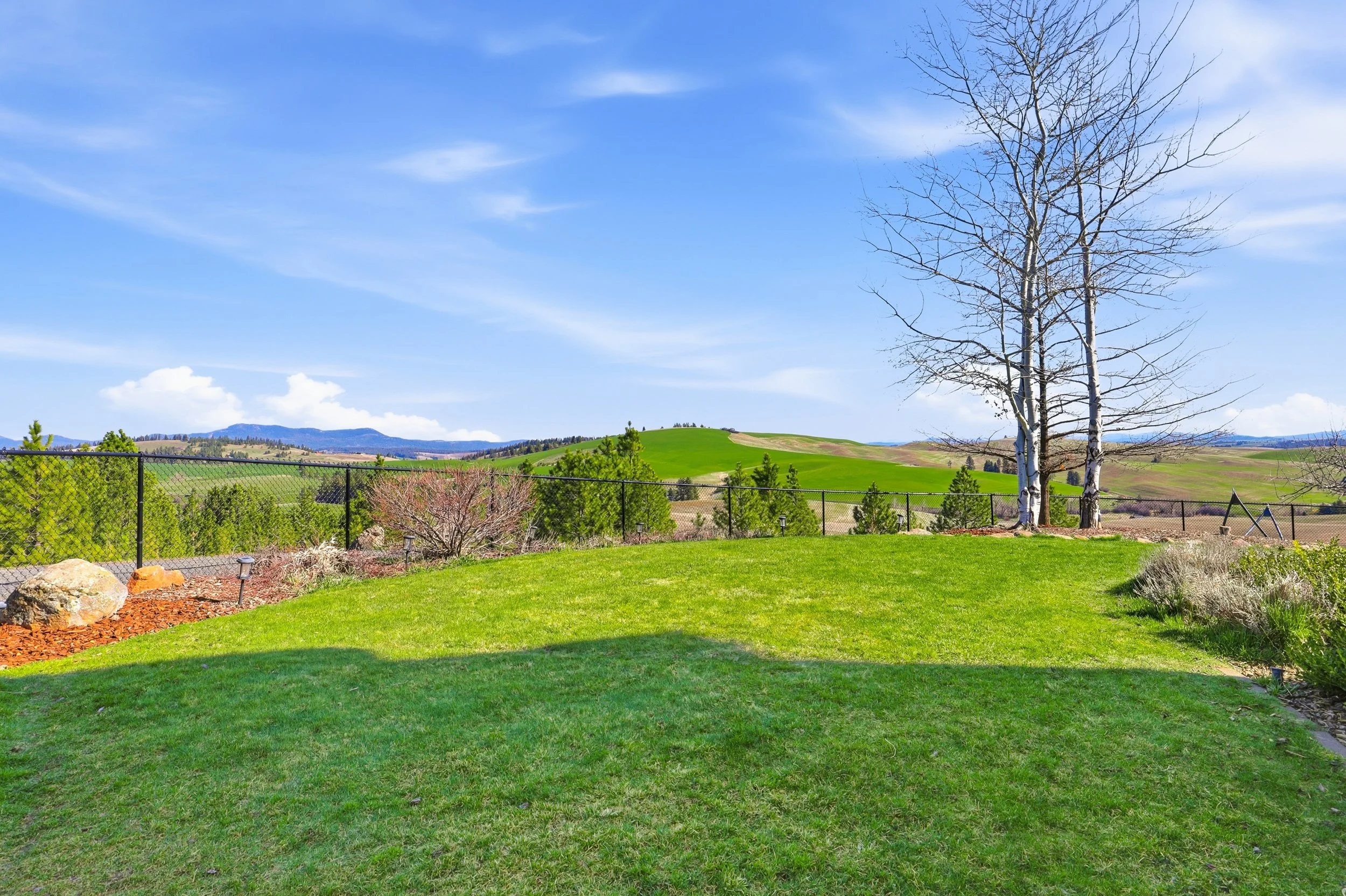 A bright outdoor landscape with a green lawn, a tall leafless tree, a black fence, distant hills, and a blue sky with some wispy clouds.