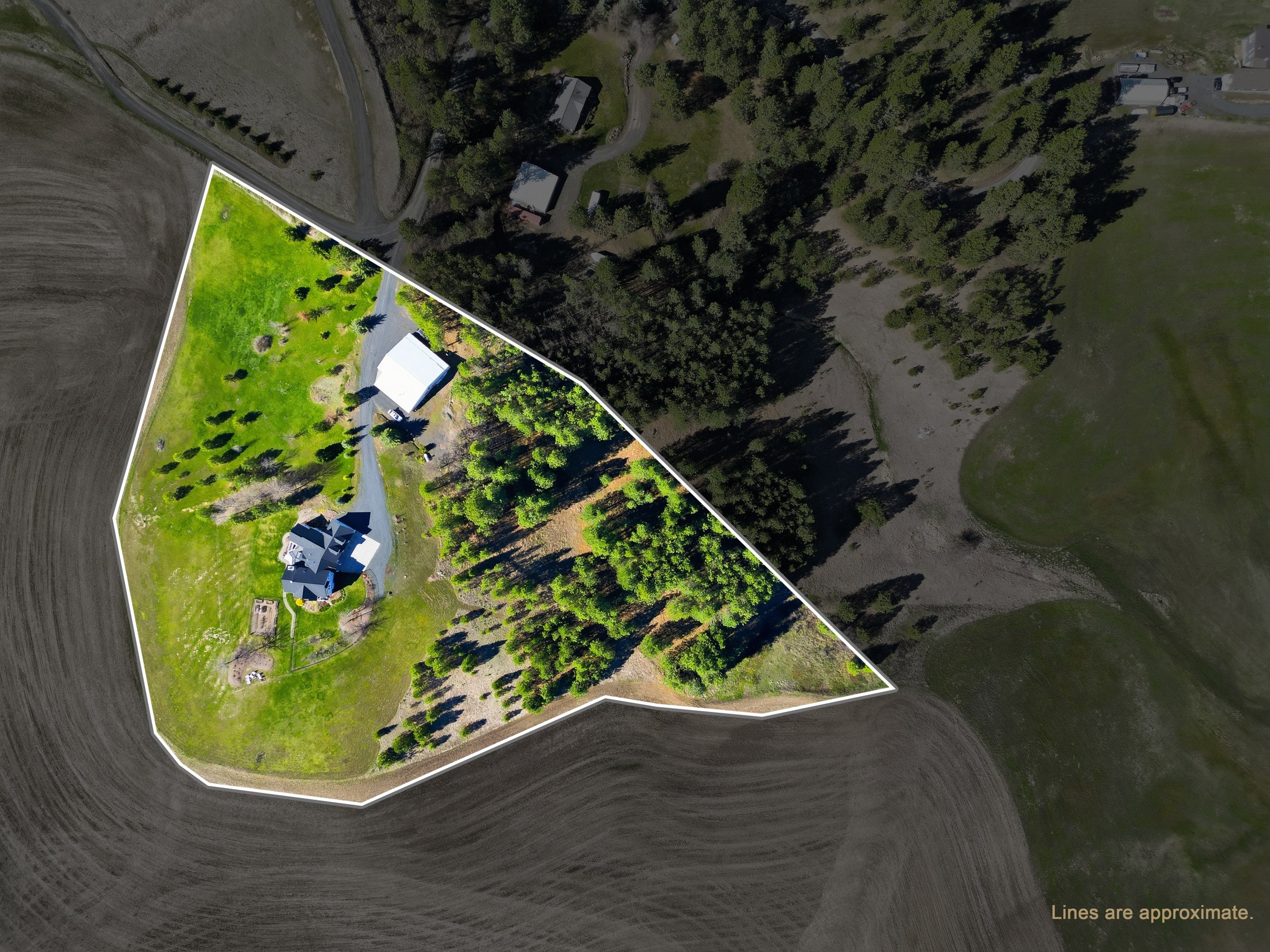 Aerial view of a house with a large lawn, surrounded by trees, with a driveway and neighboring properties in the background.