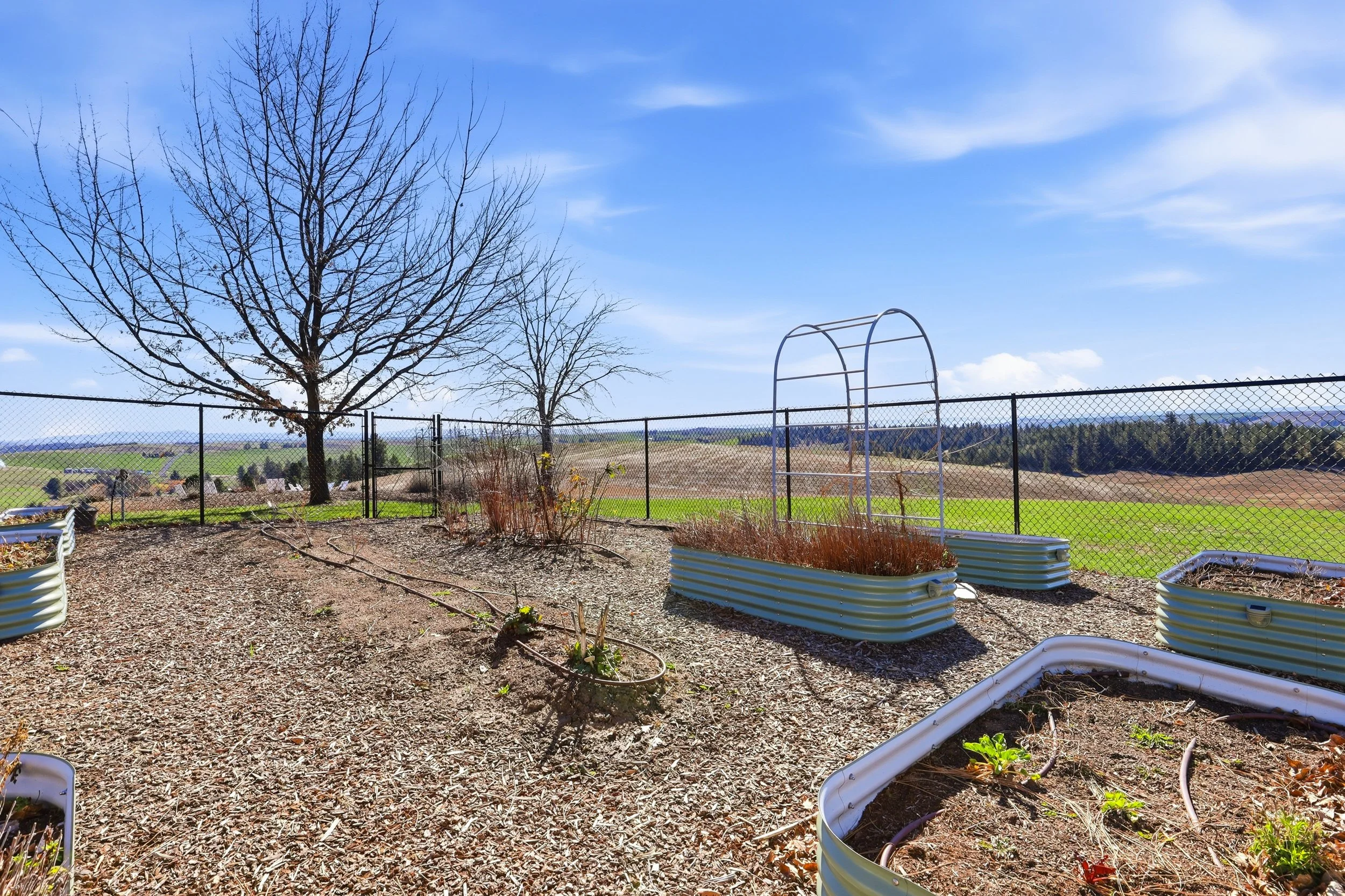 A backyard garden with with metal raised garden beds filled with plants, a large leafless tree, and a chain-link fence. Rolling hills and fields are visible in the distance under a partly cloudy blue sky.