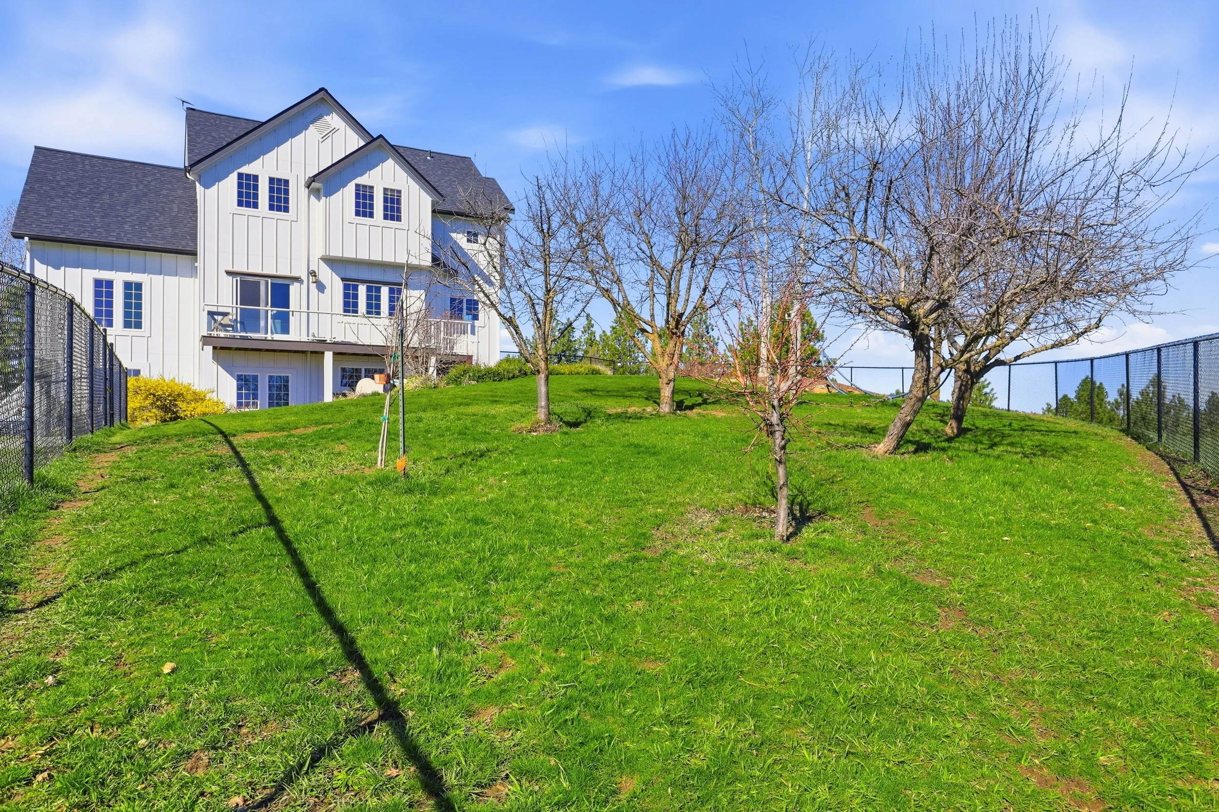 A backyard with green grass, leafless trees, a black chain-link fence, and a white multi-story house under a blue sky.
