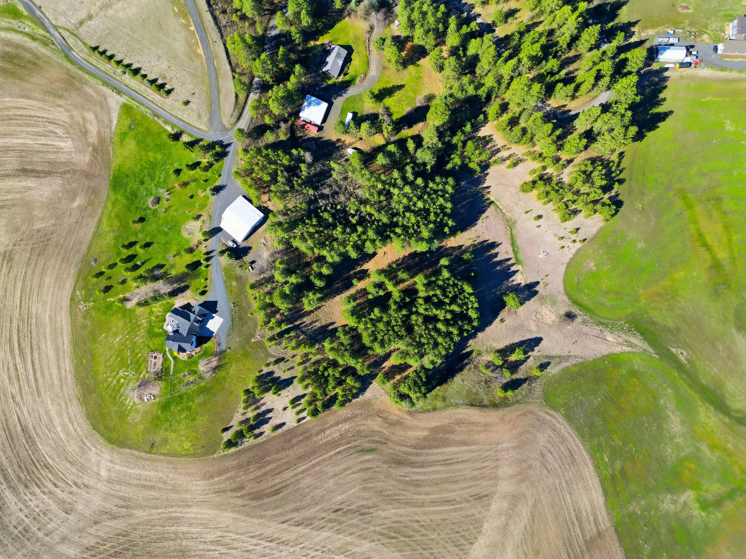 An aerial view of a rural landscape with houses, trees, a grassy area, and a dirt driveway.