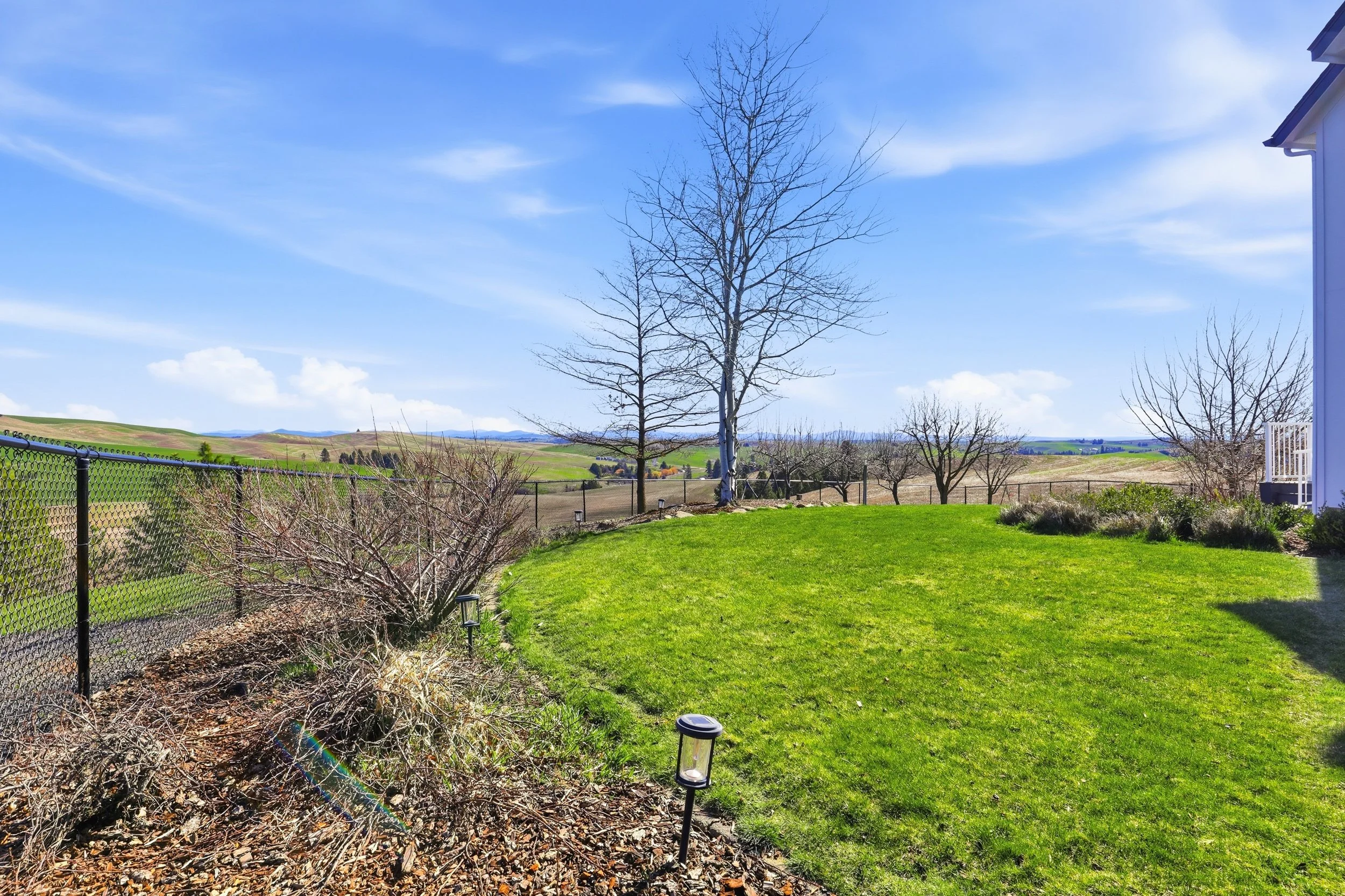 A backyard with green grass, a black chain-link fence, a leafless tree, and drought-tolerant plants along the fence. There are landscape lights on the ground, and a large blue house with a white porch corner on the right. The background features roll