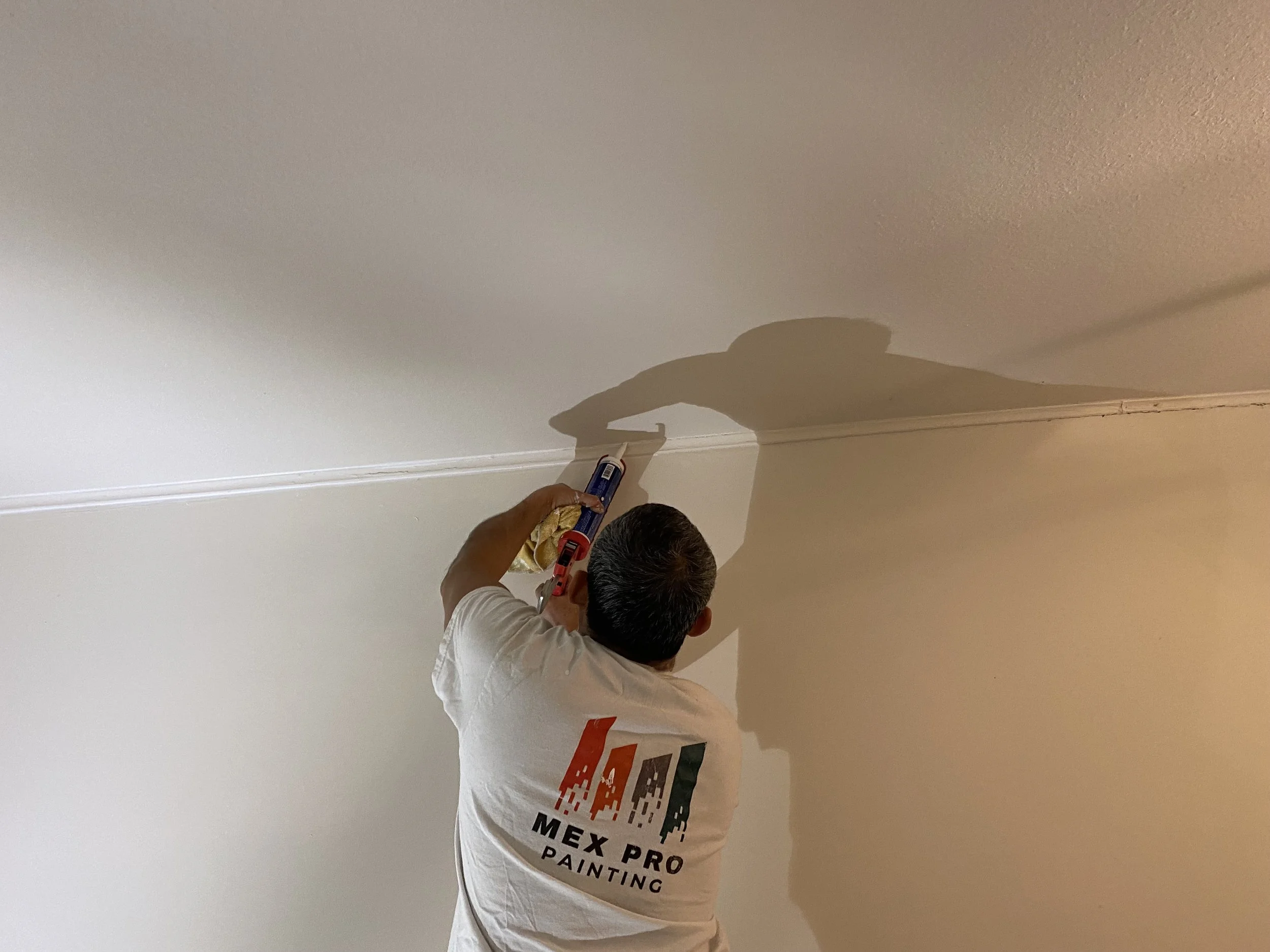 A person with short black hair, wearing a white T-shirt with the logo and text 'MEX PRO PAINTING,' is using a roller brush to paint or work on a white ceiling or wall in a room.