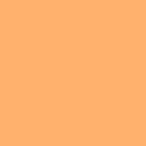 The Apricots