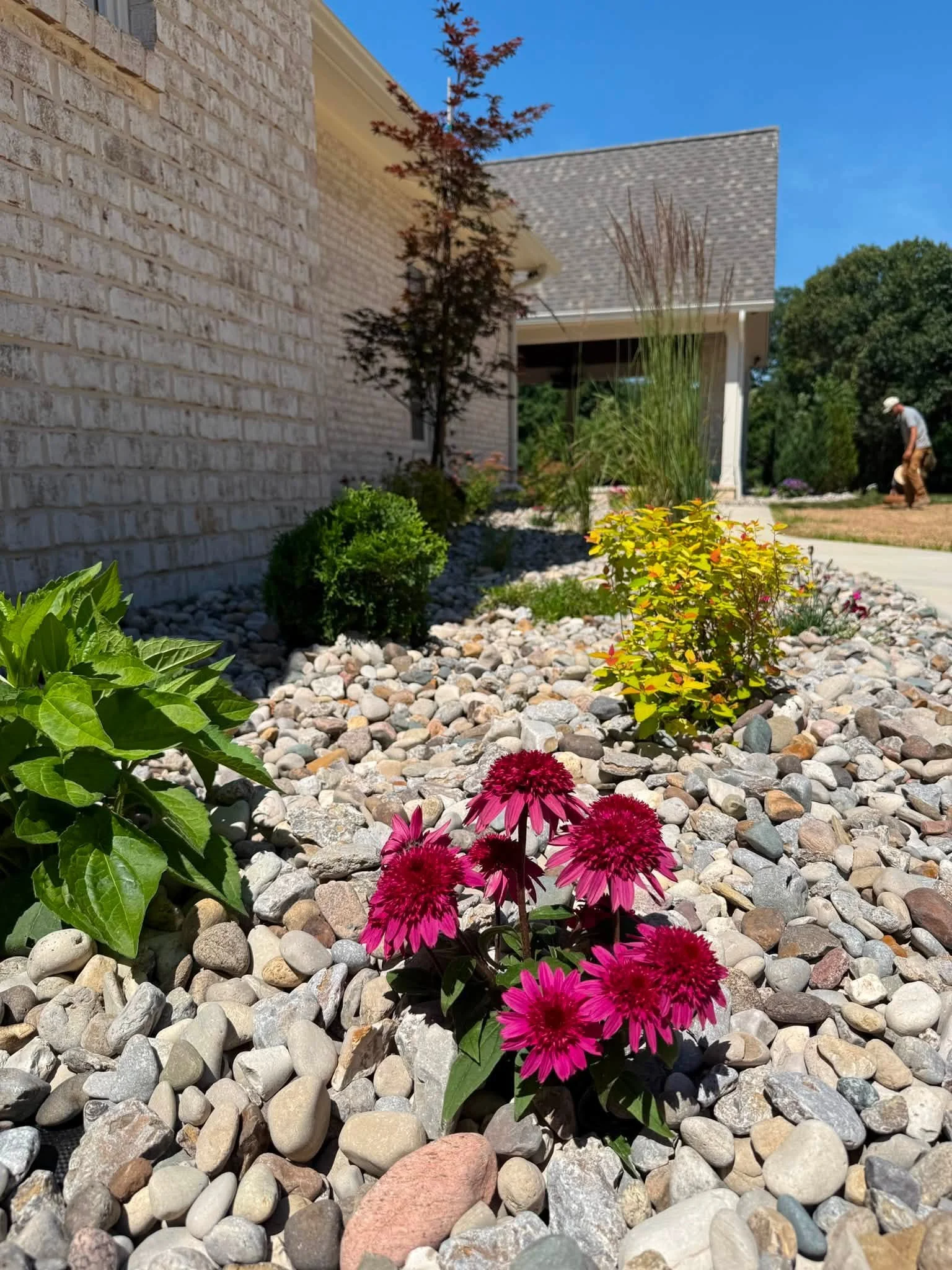 Colorful flowers and green plants row in a rock garden outside a house with brick and siding walls and a shingled roof, under a blue sky.