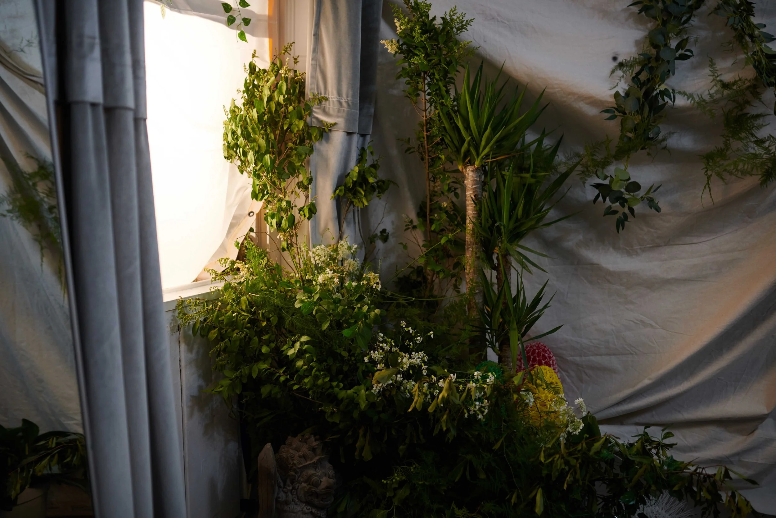 lightandshadow 262.jpg