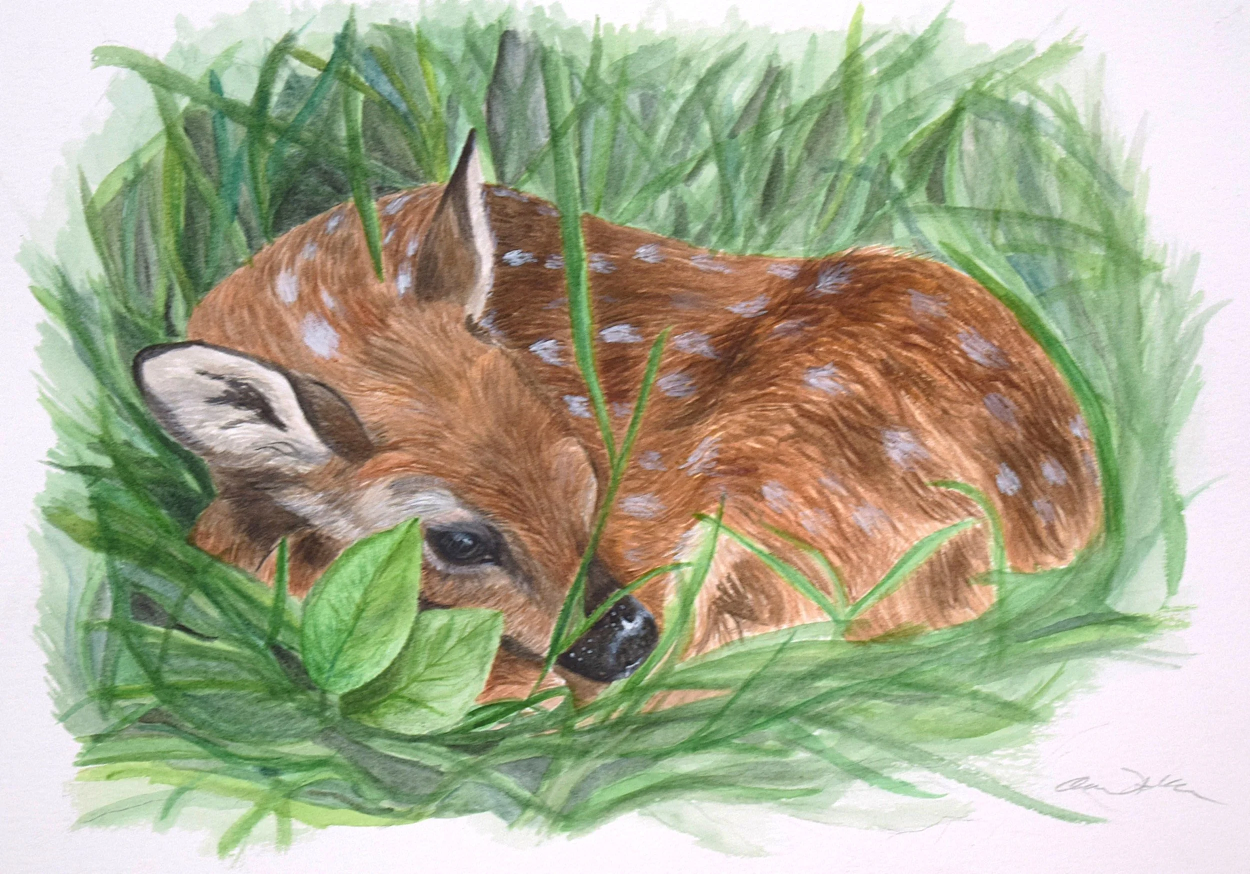 Sleepy Head