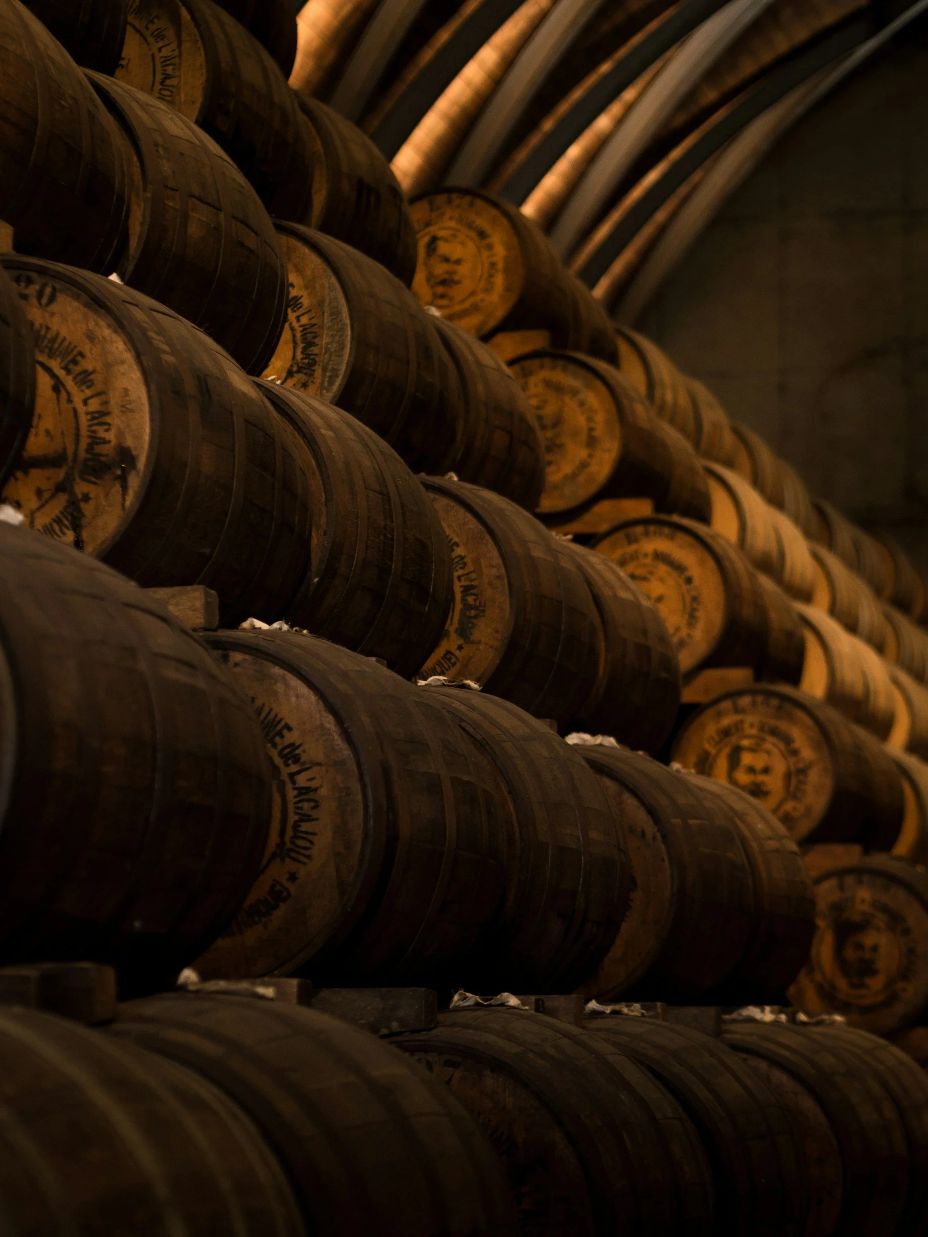 Rows of wooden barrels stored in a cellar or brewery.