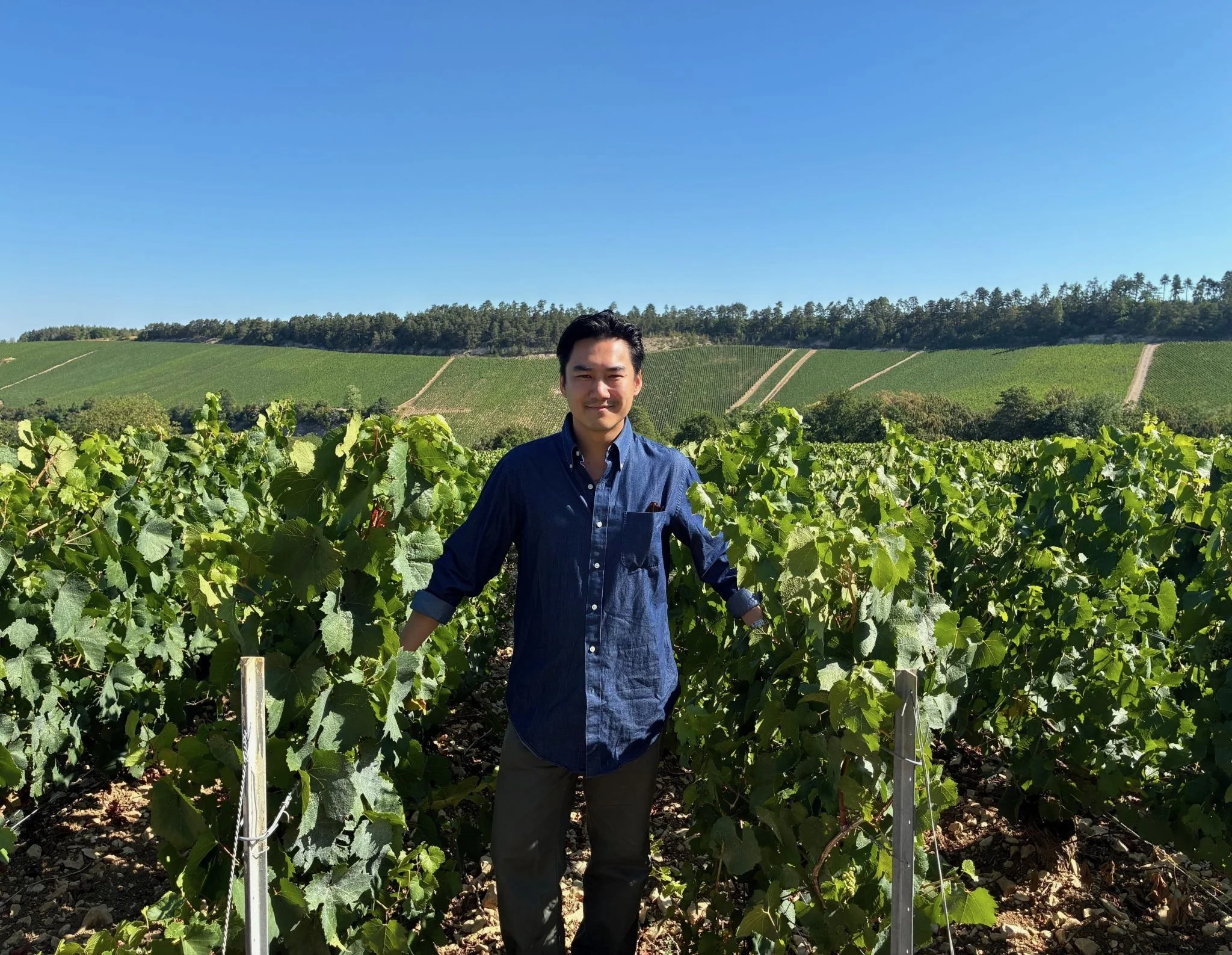 A man in a blue shirt standing in a vineyard with rows of green grapevines, hillside terrain, and a clear blue sky in the background.