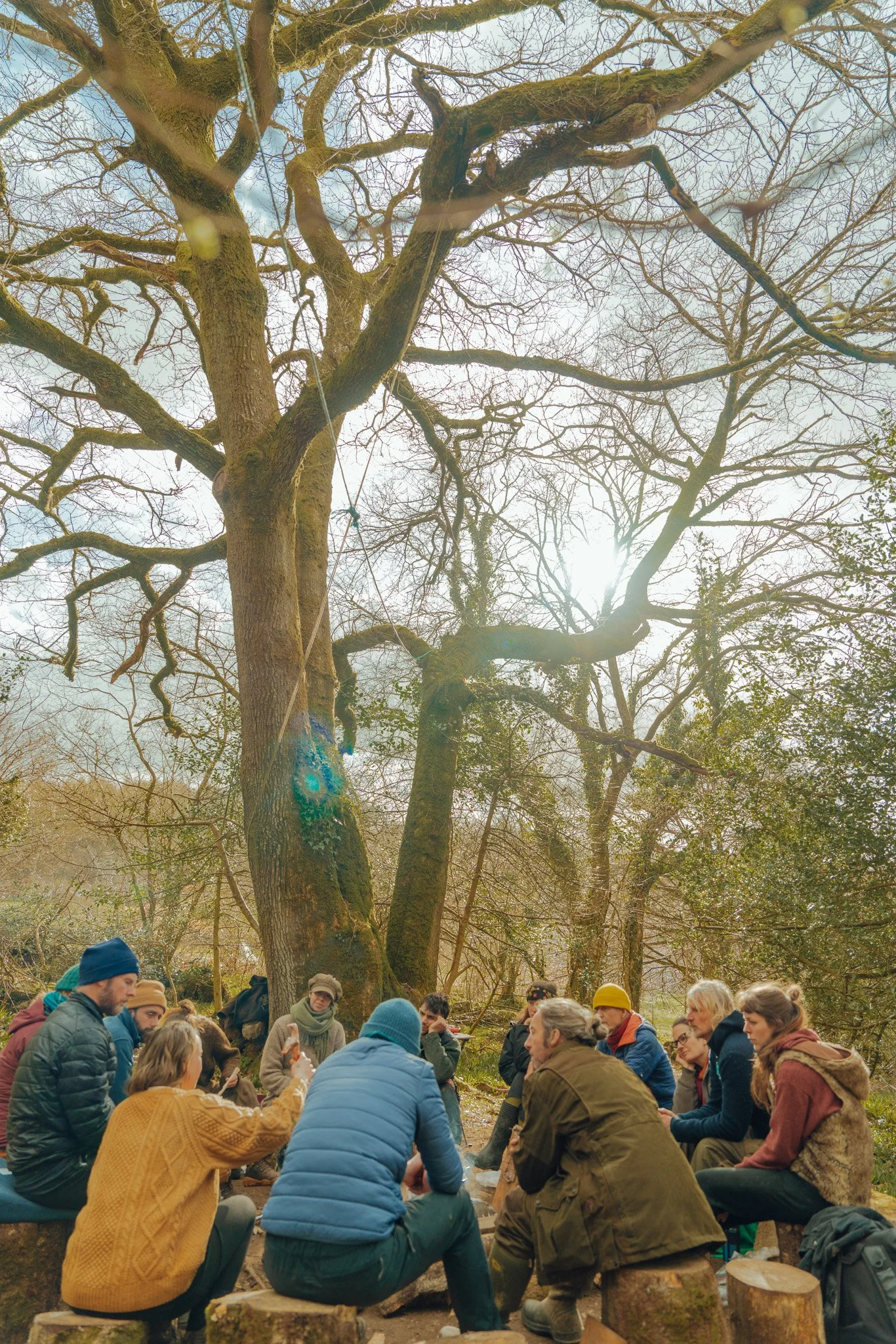 Group of people sitting and standing in a circle outdoors beneath tall leafless trees on a sunny day