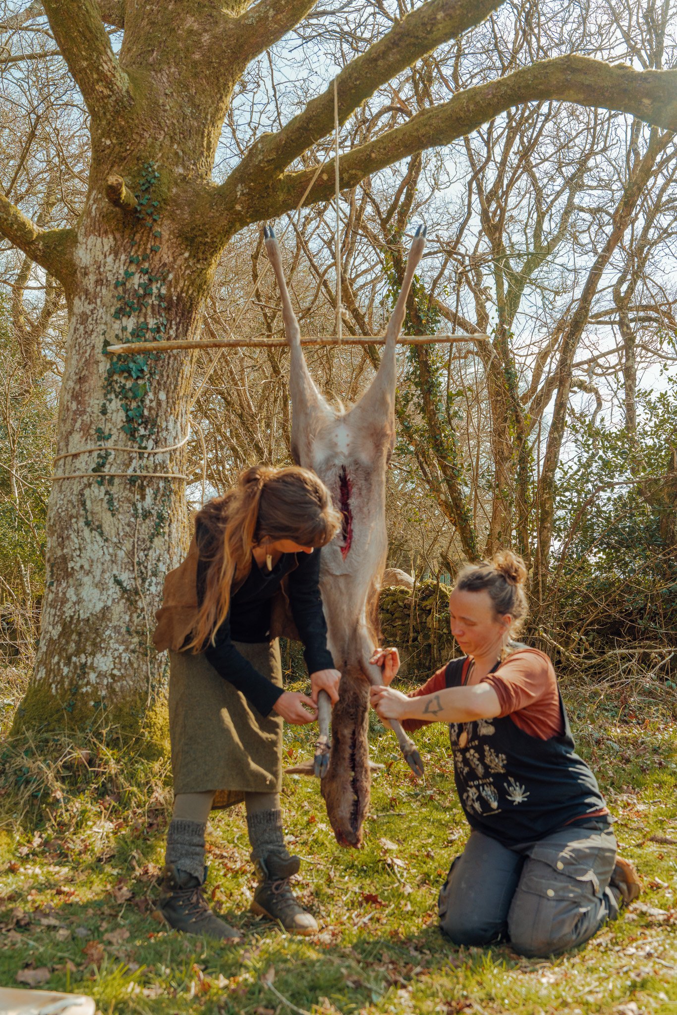 Two people are butchering a dead deer suspended from a tree outdoors, with one person kneeling and the other standing, surrounded by leafless trees.